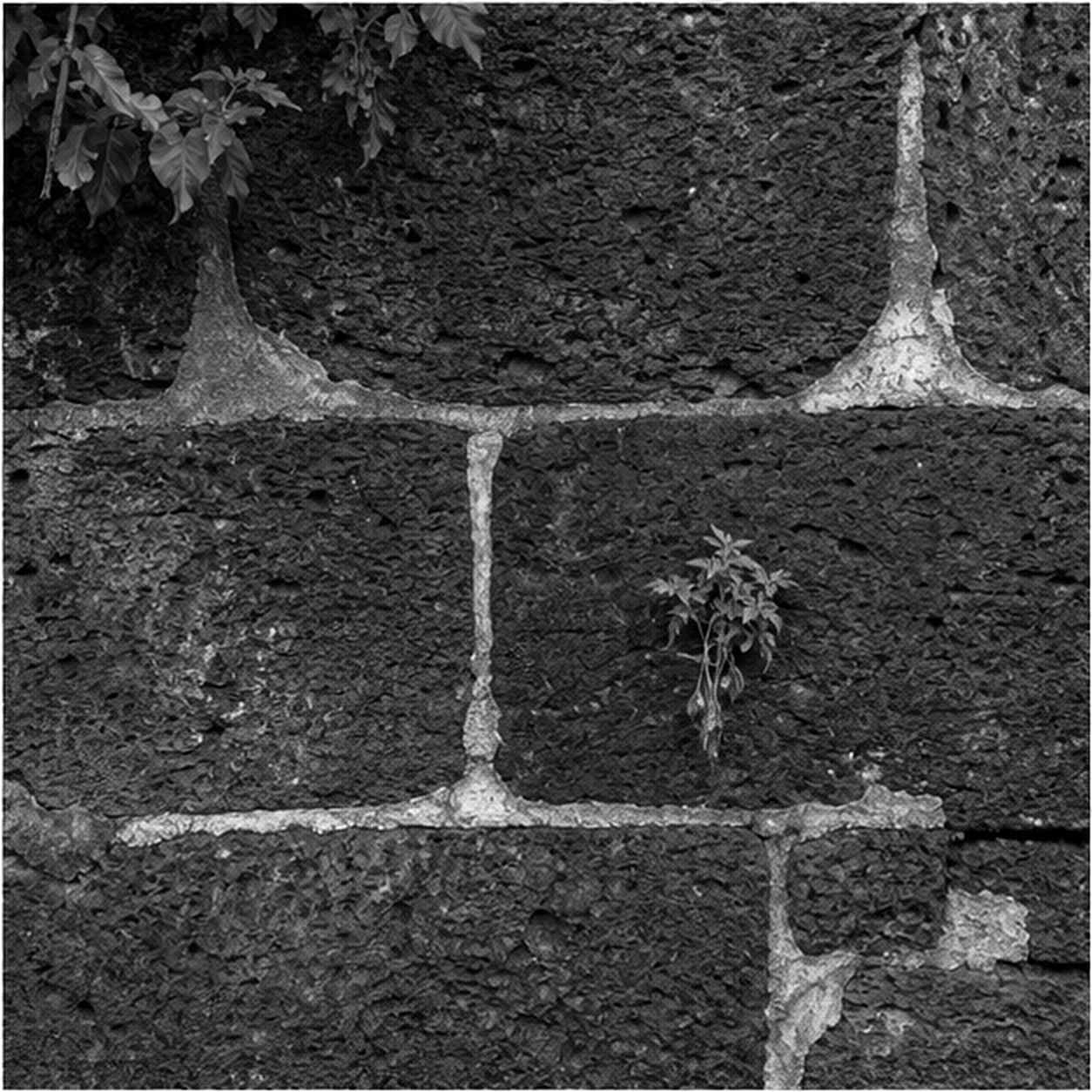 Black-and-white Goa photograph for Design that lasts
