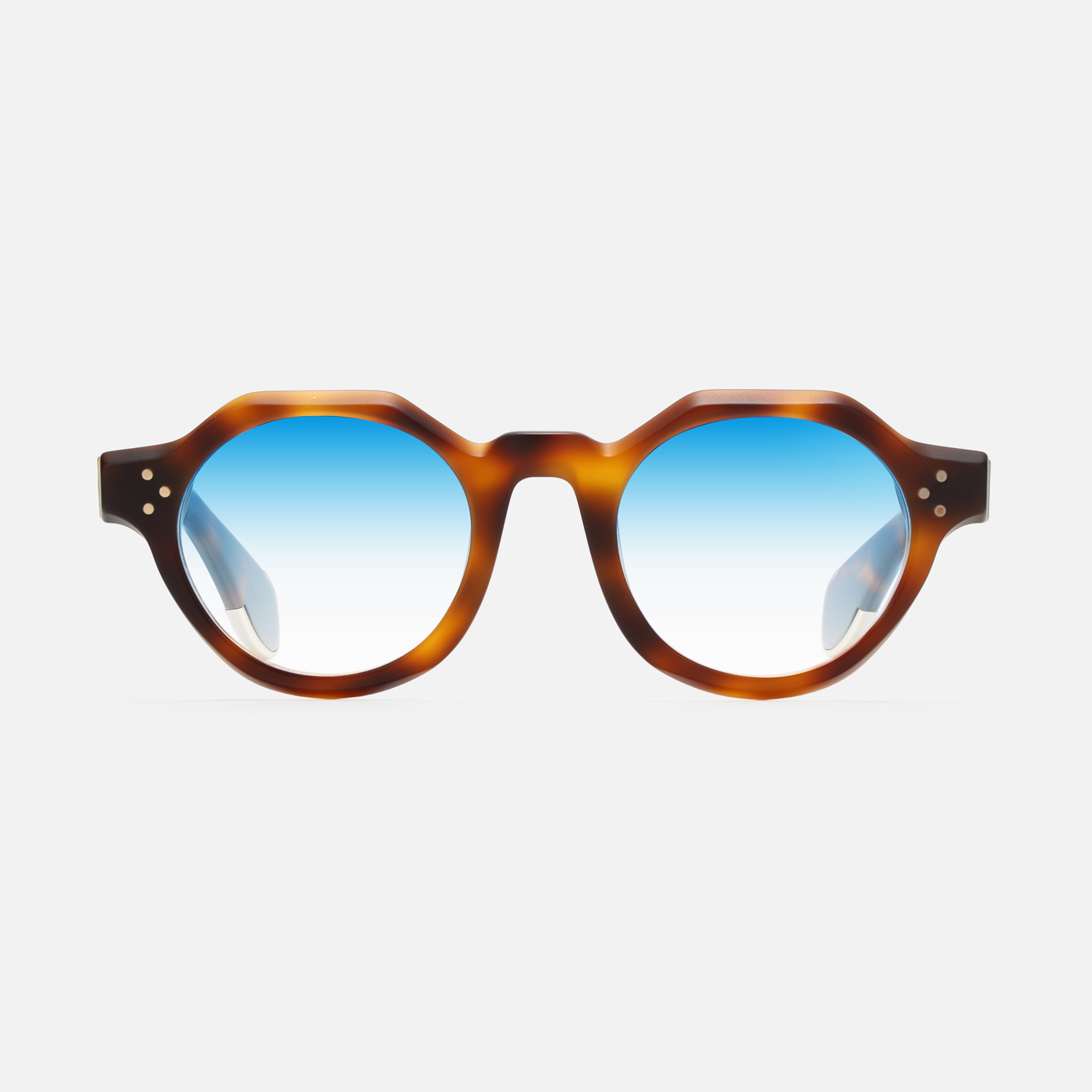 Paradise Tortoise Structura