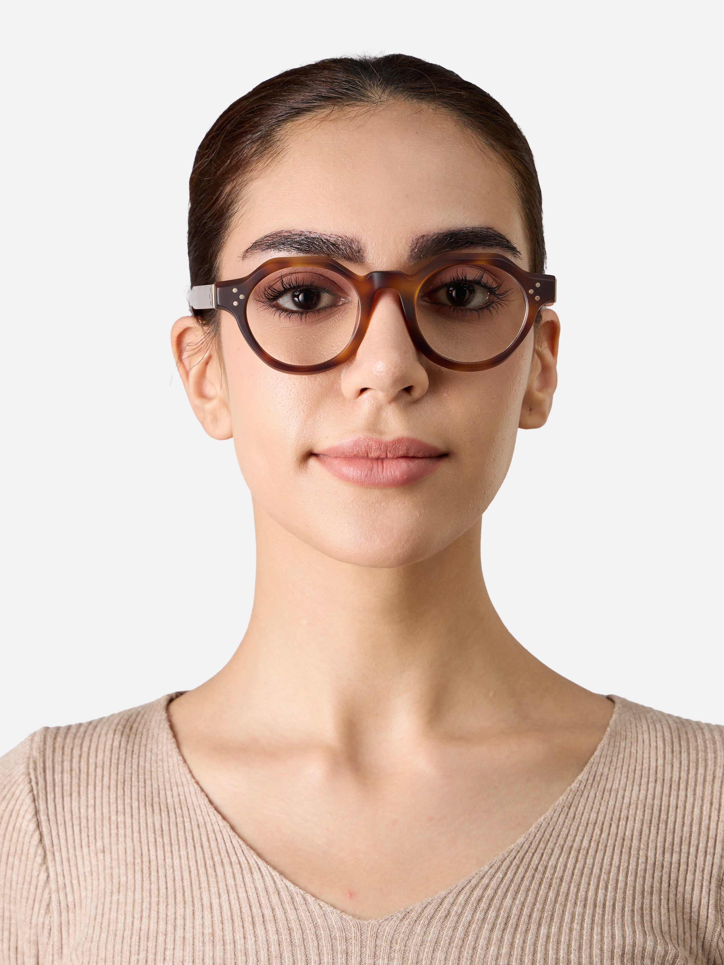 Paradise Tortoise Structura