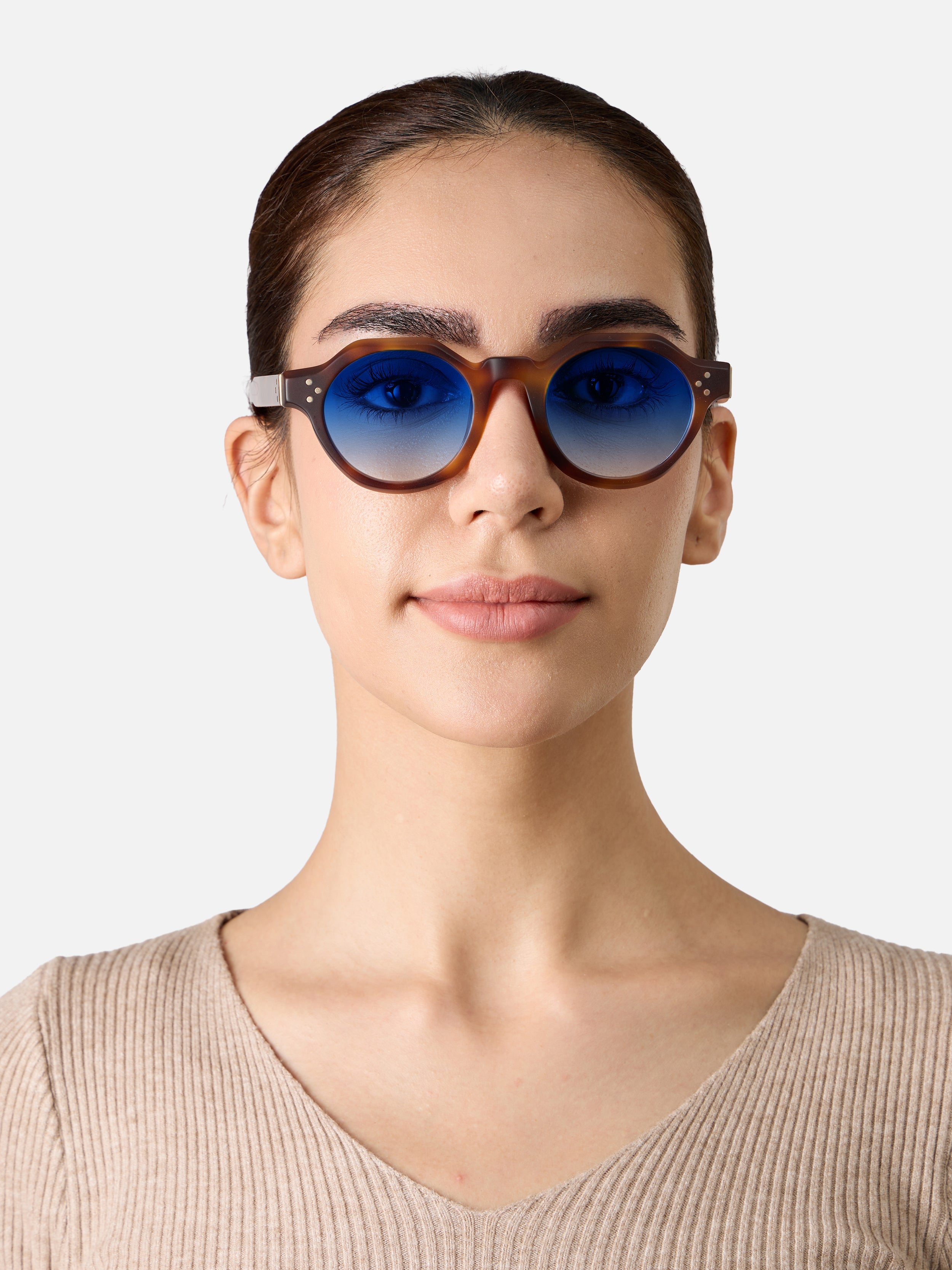 Paradise Tortoise Structura