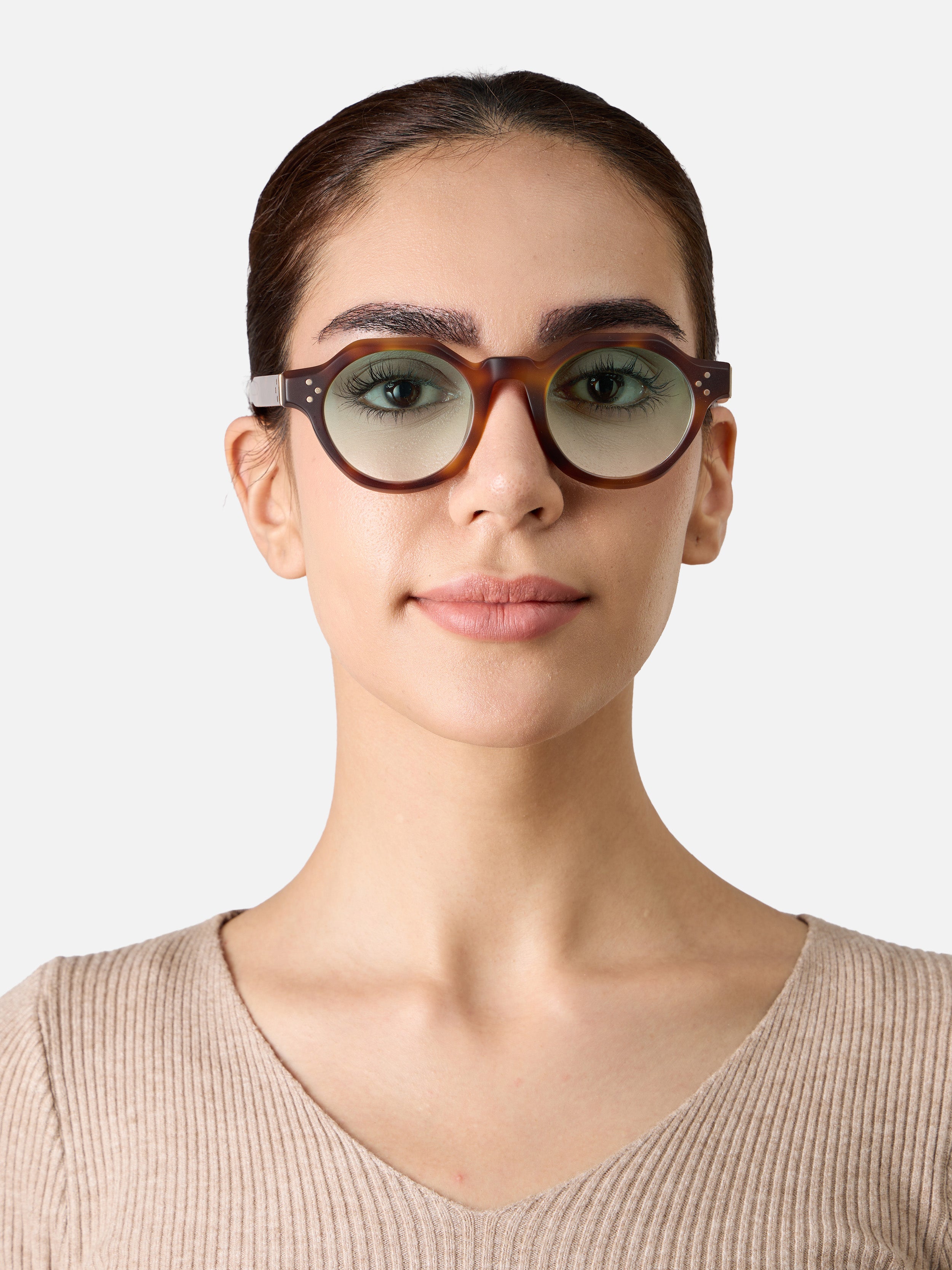 Paradise Tortoise Structura