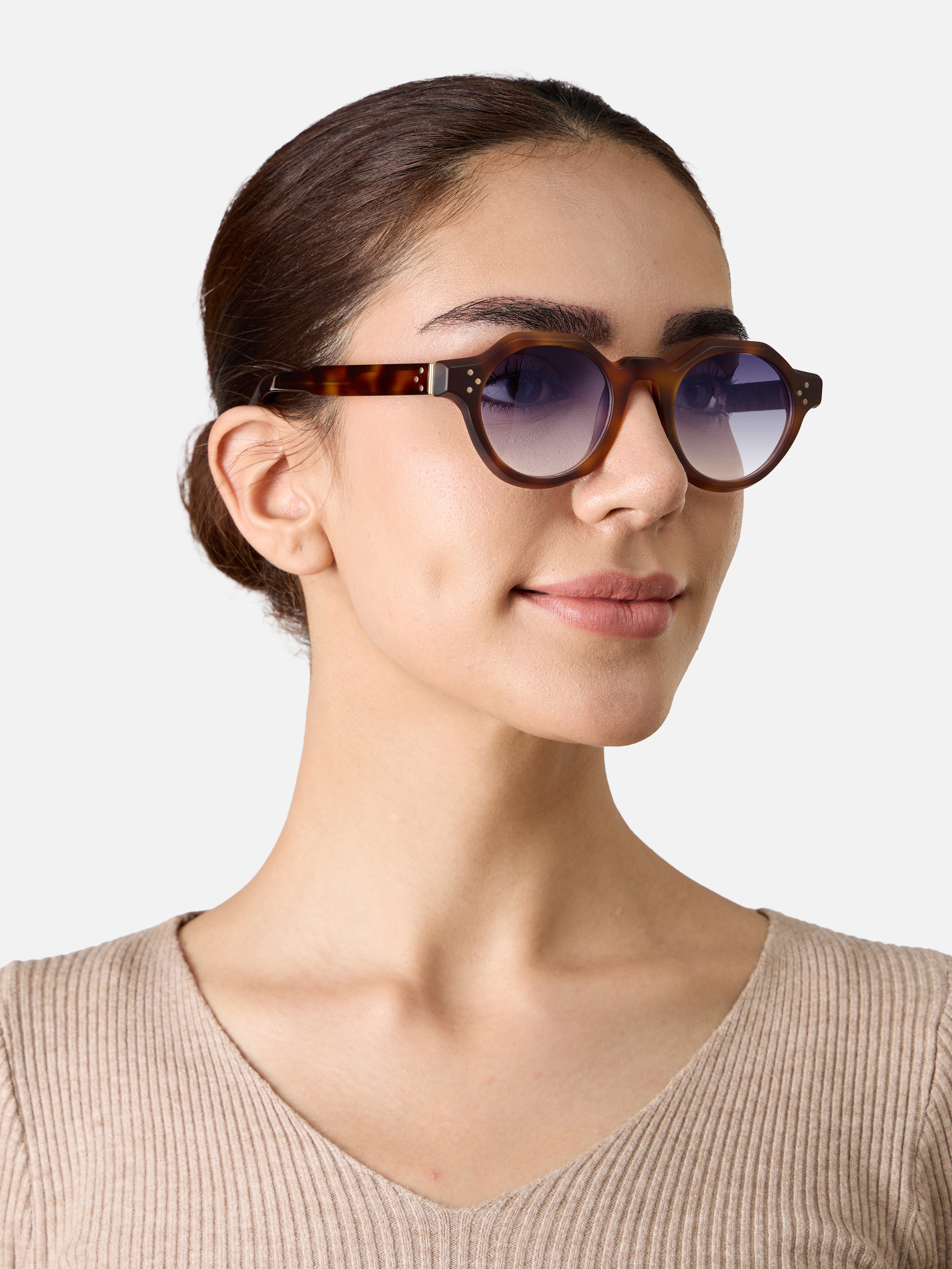 Paradise Tortoise Structura