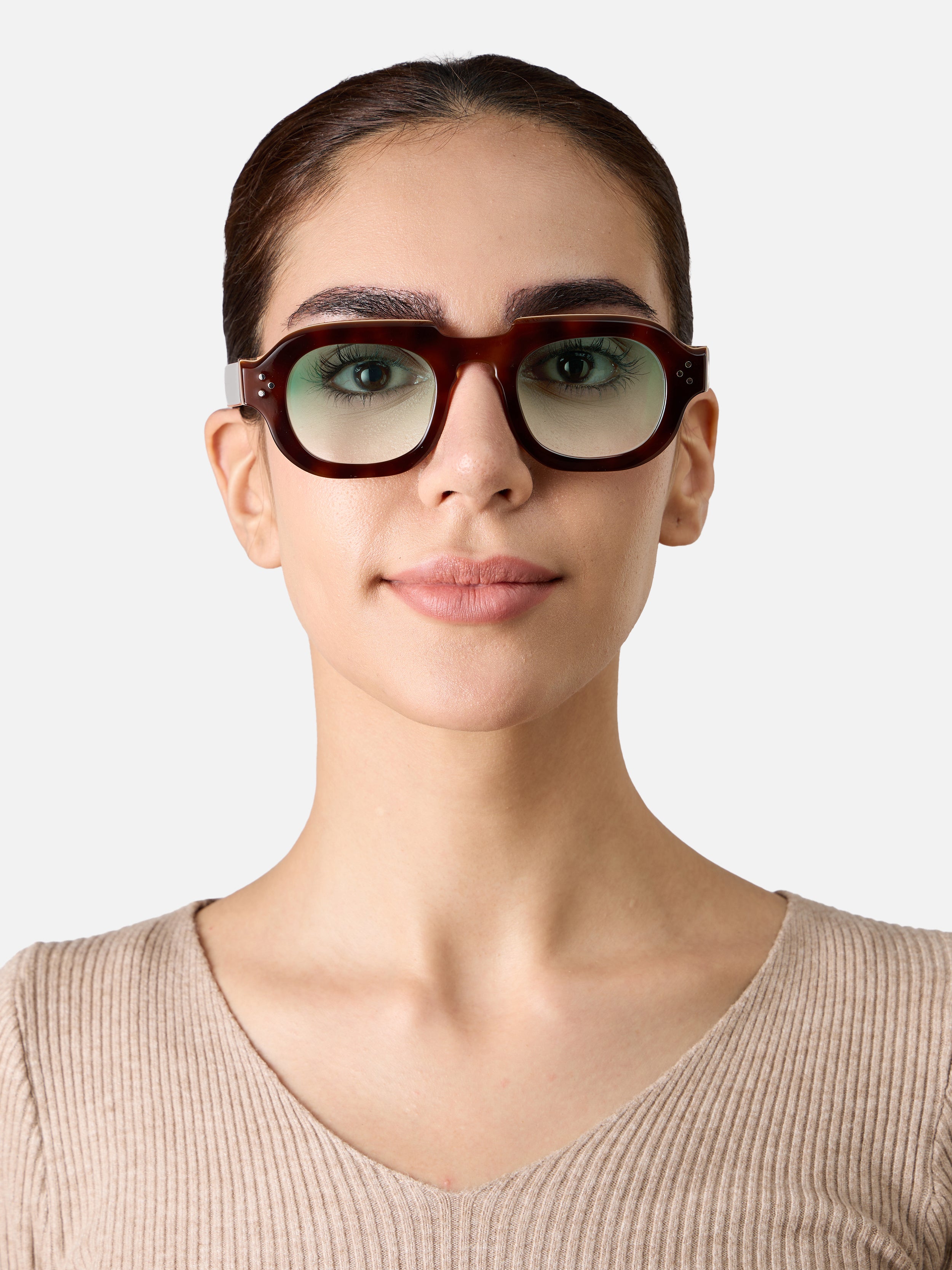 Hermann Tortoise Carnival