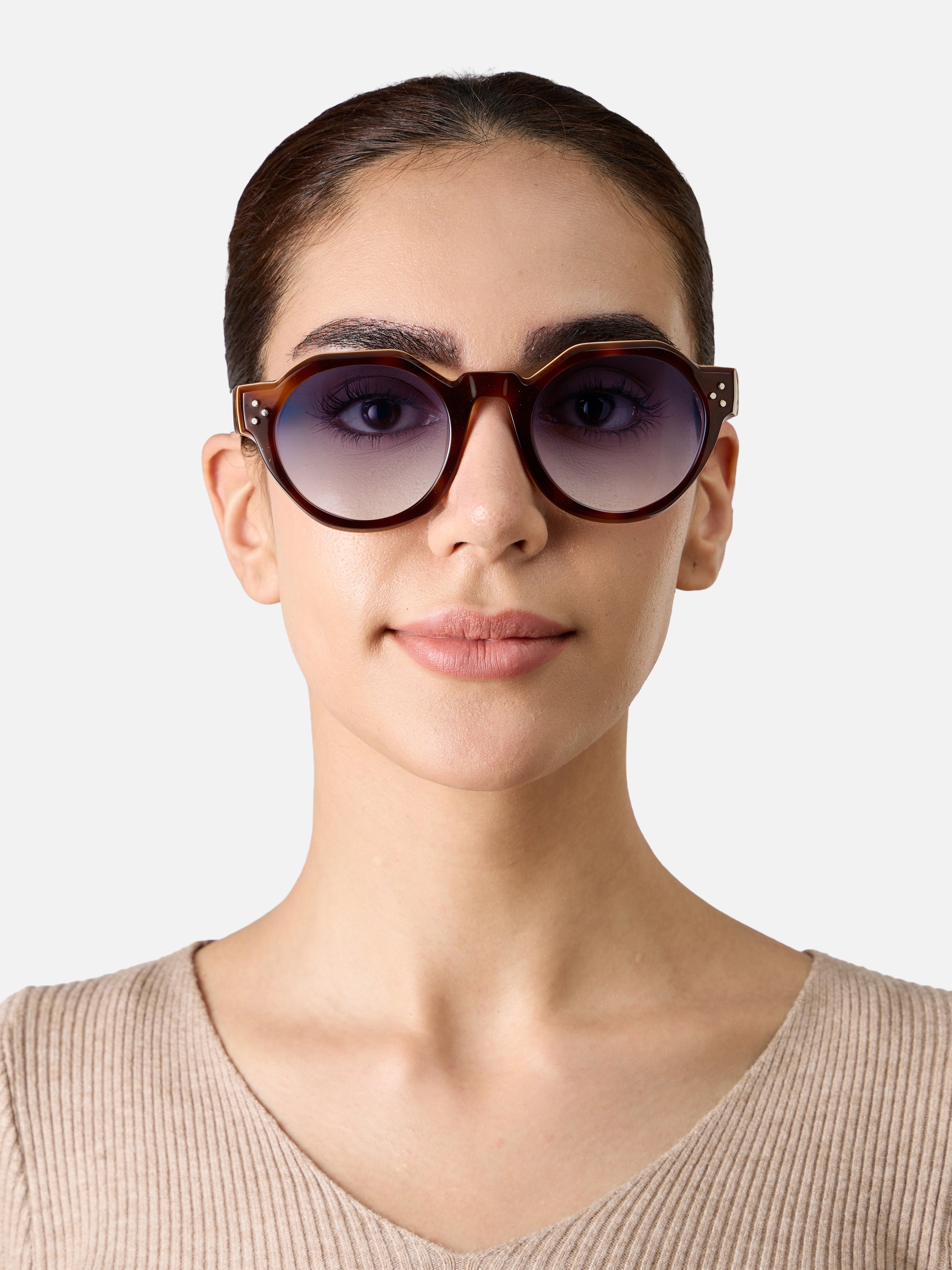 Paradise Tortoise Carnival