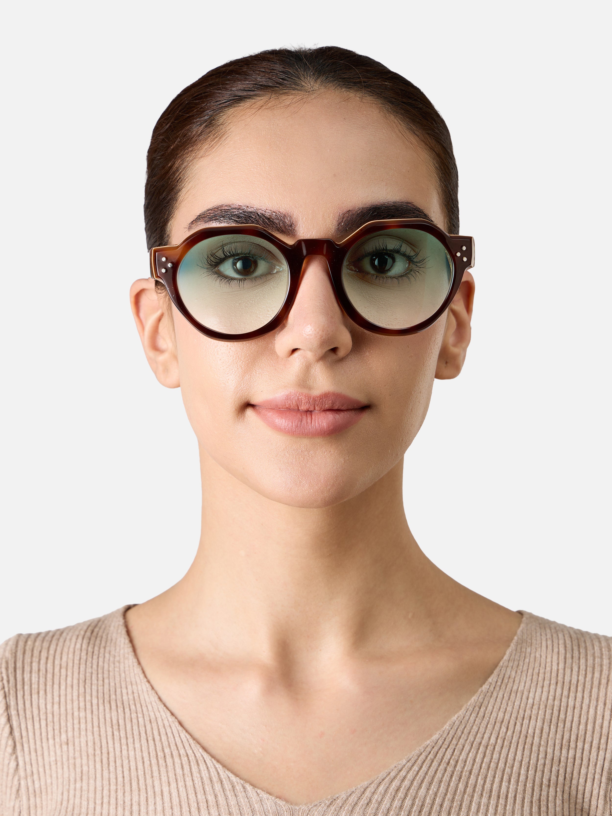 Paradise Tortoise Carnival