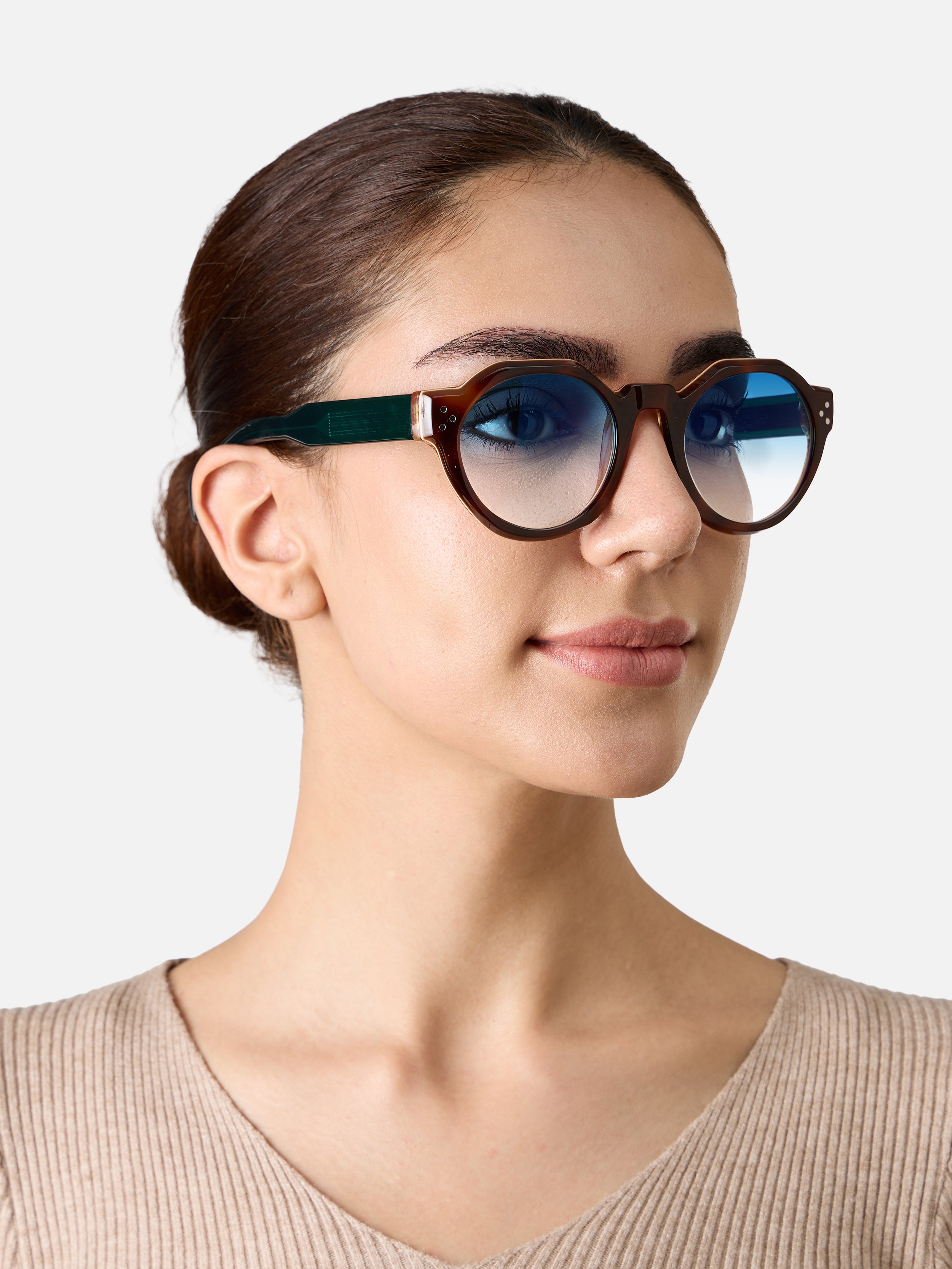 Paradise Tortoise Carnival