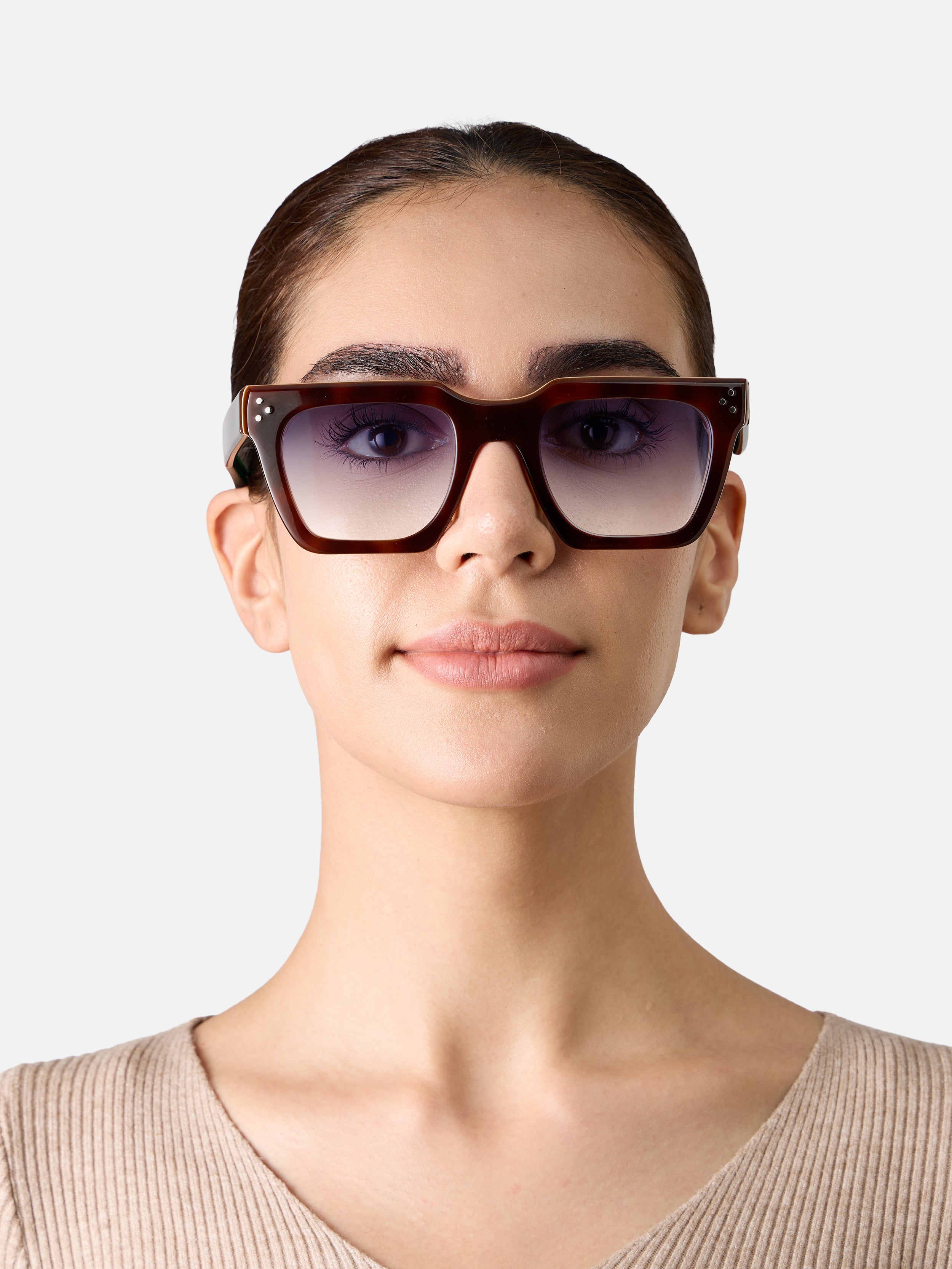 Starke Tortoise Carnival