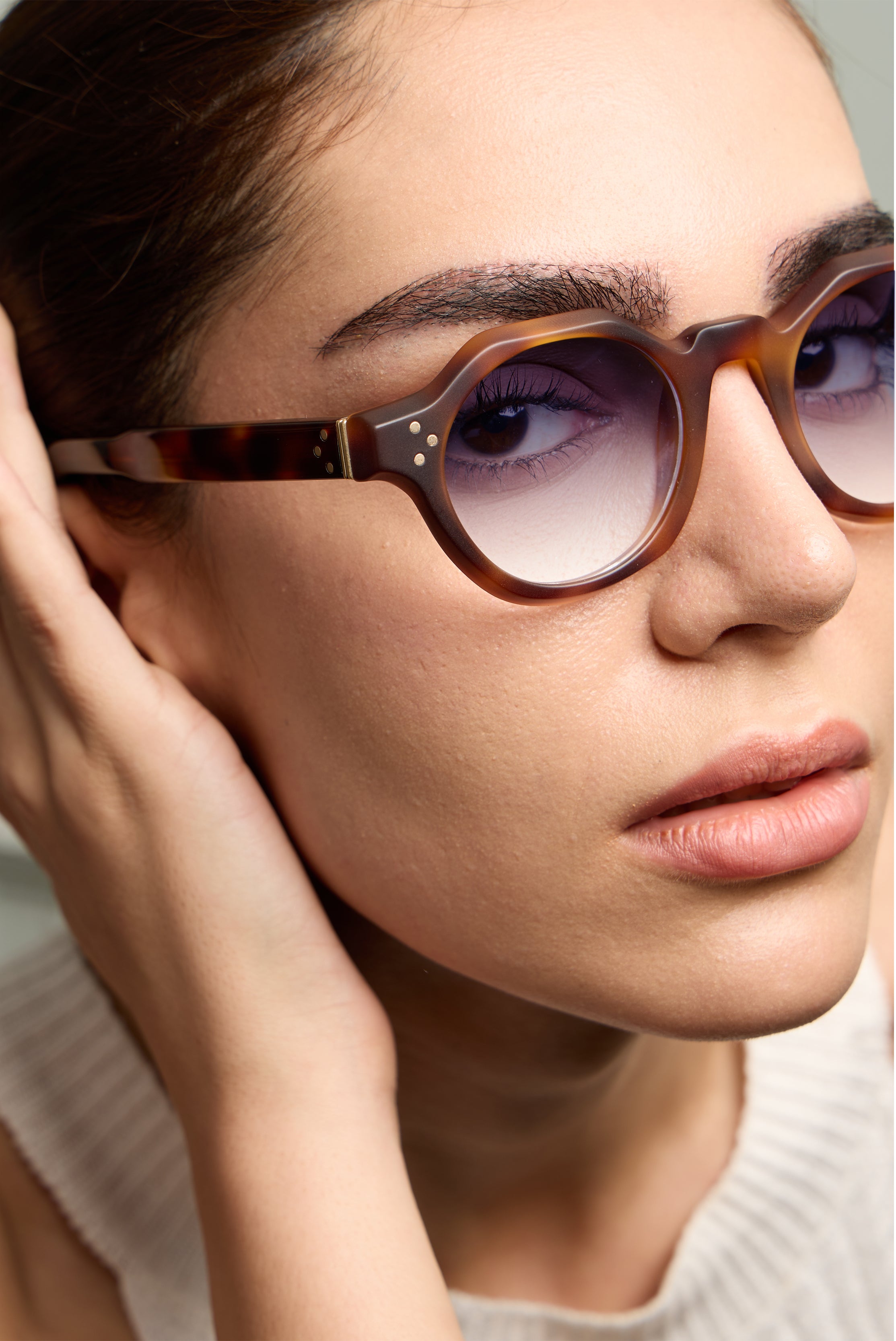 Paradise Tortoise Structura