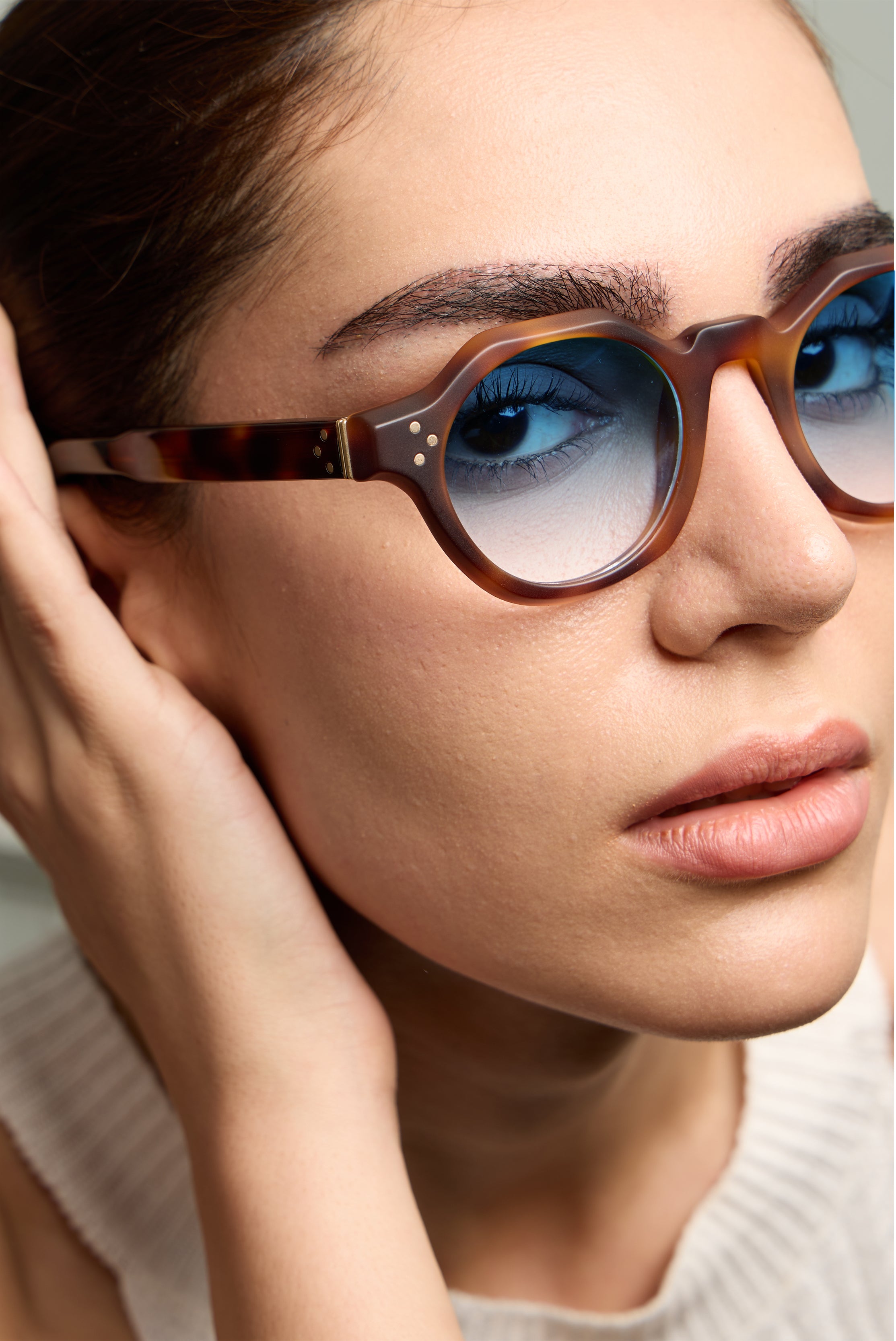 Paradise Tortoise Structura