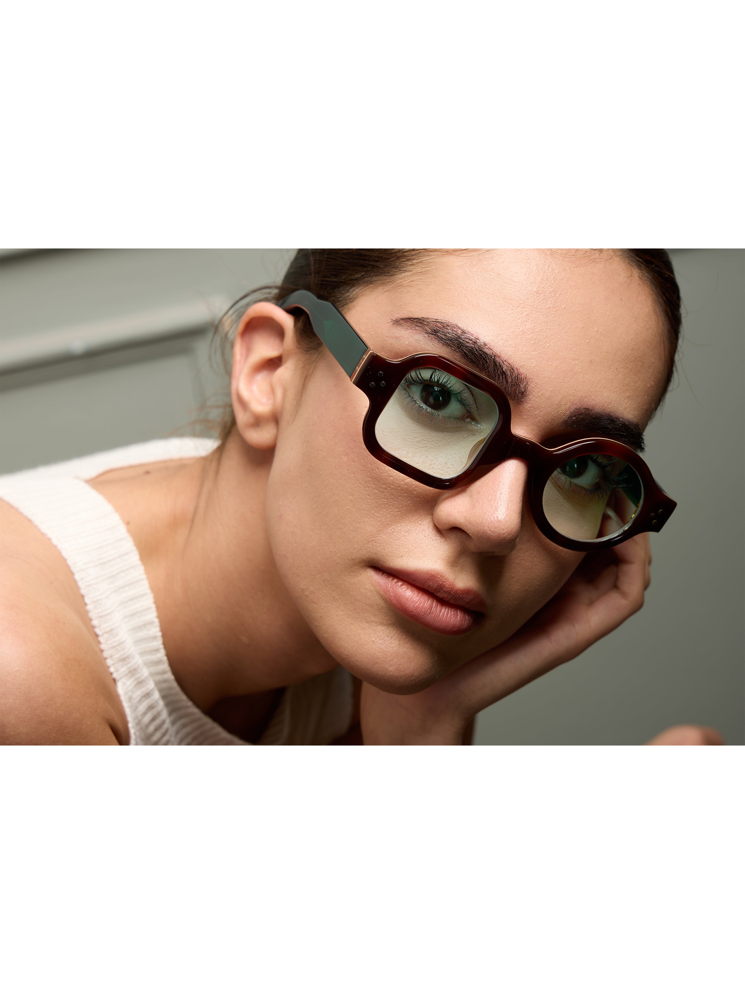 Admont Tortoise Carnival