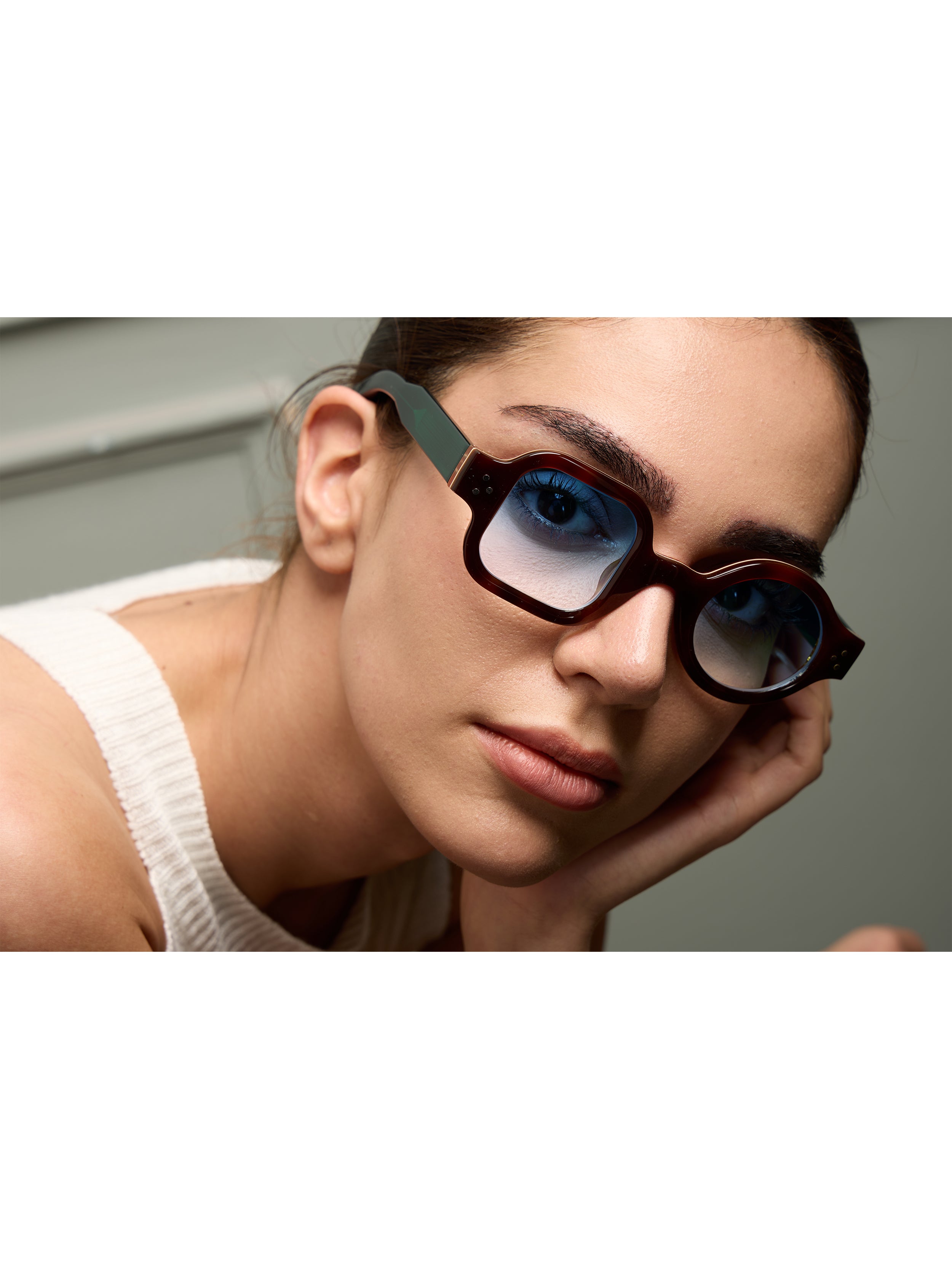 Admont Tortoise Carnival