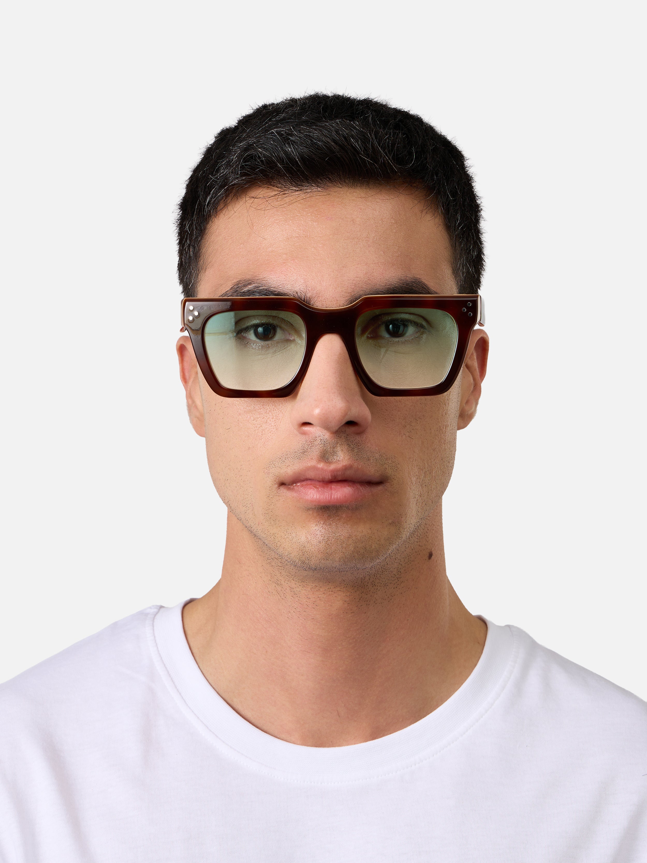 Starke Tortoise Carnival