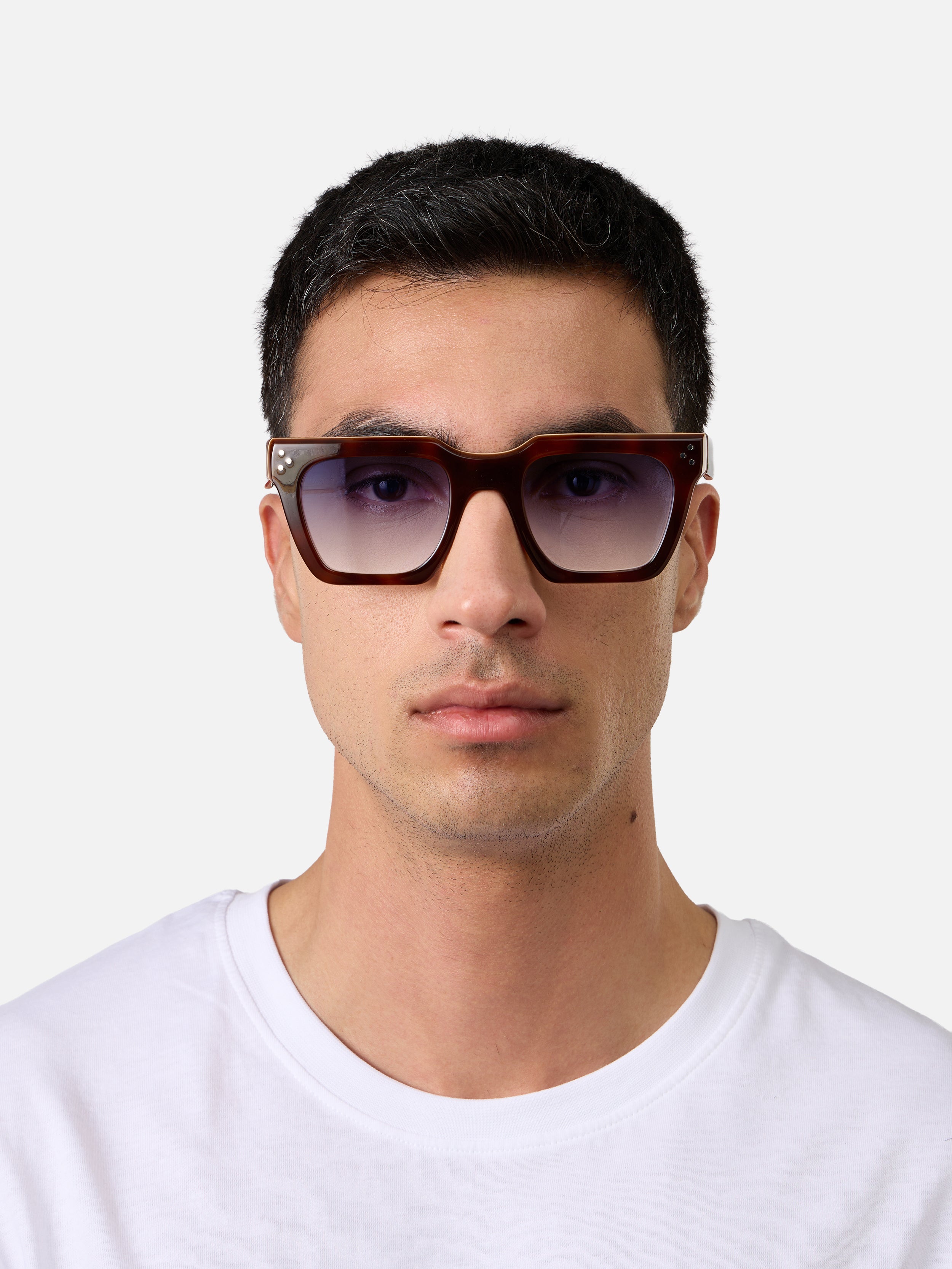 Starke Tortoise Carnival