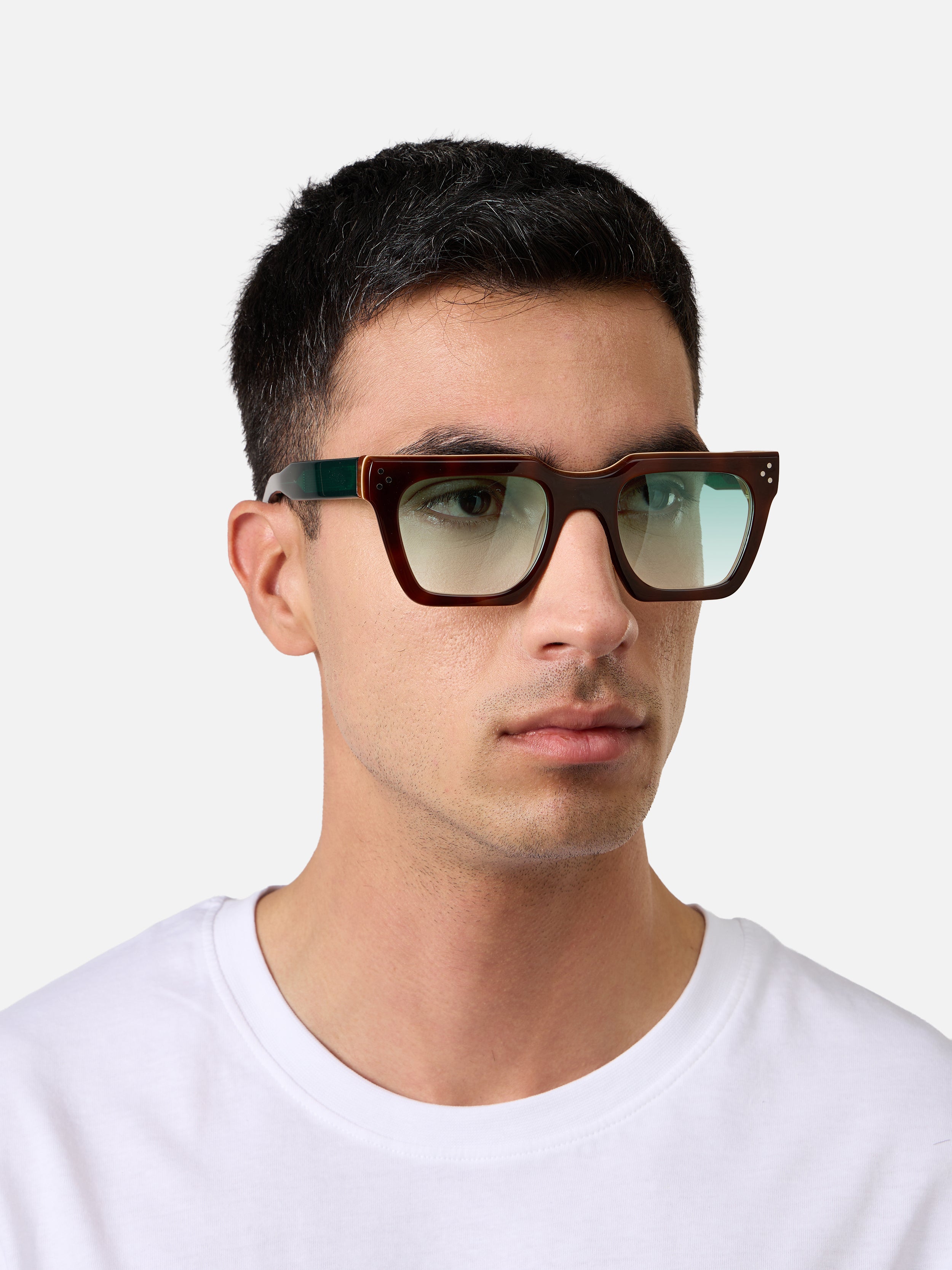 Starke Tortoise Carnival