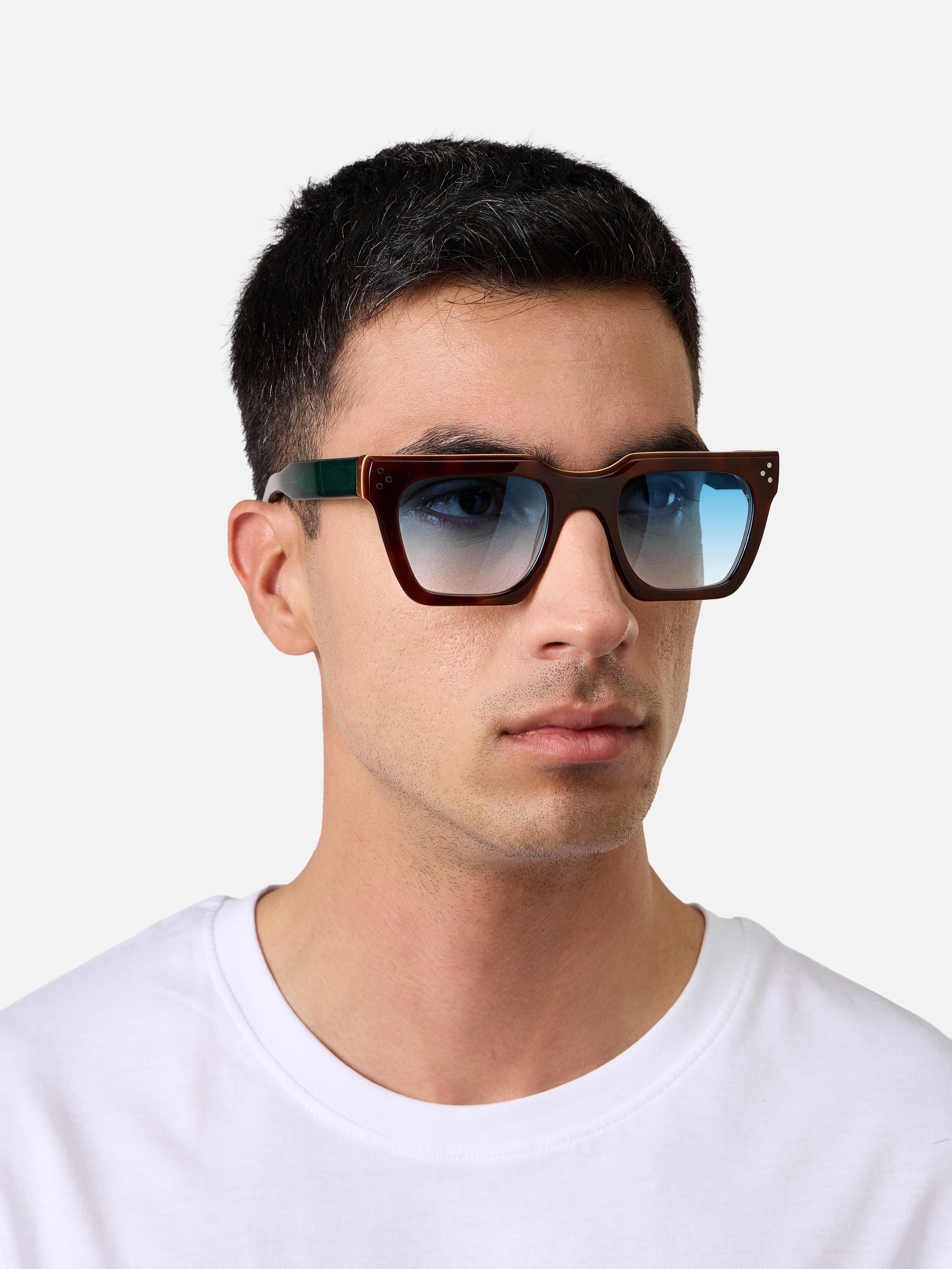 Starke Tortoise Carnival