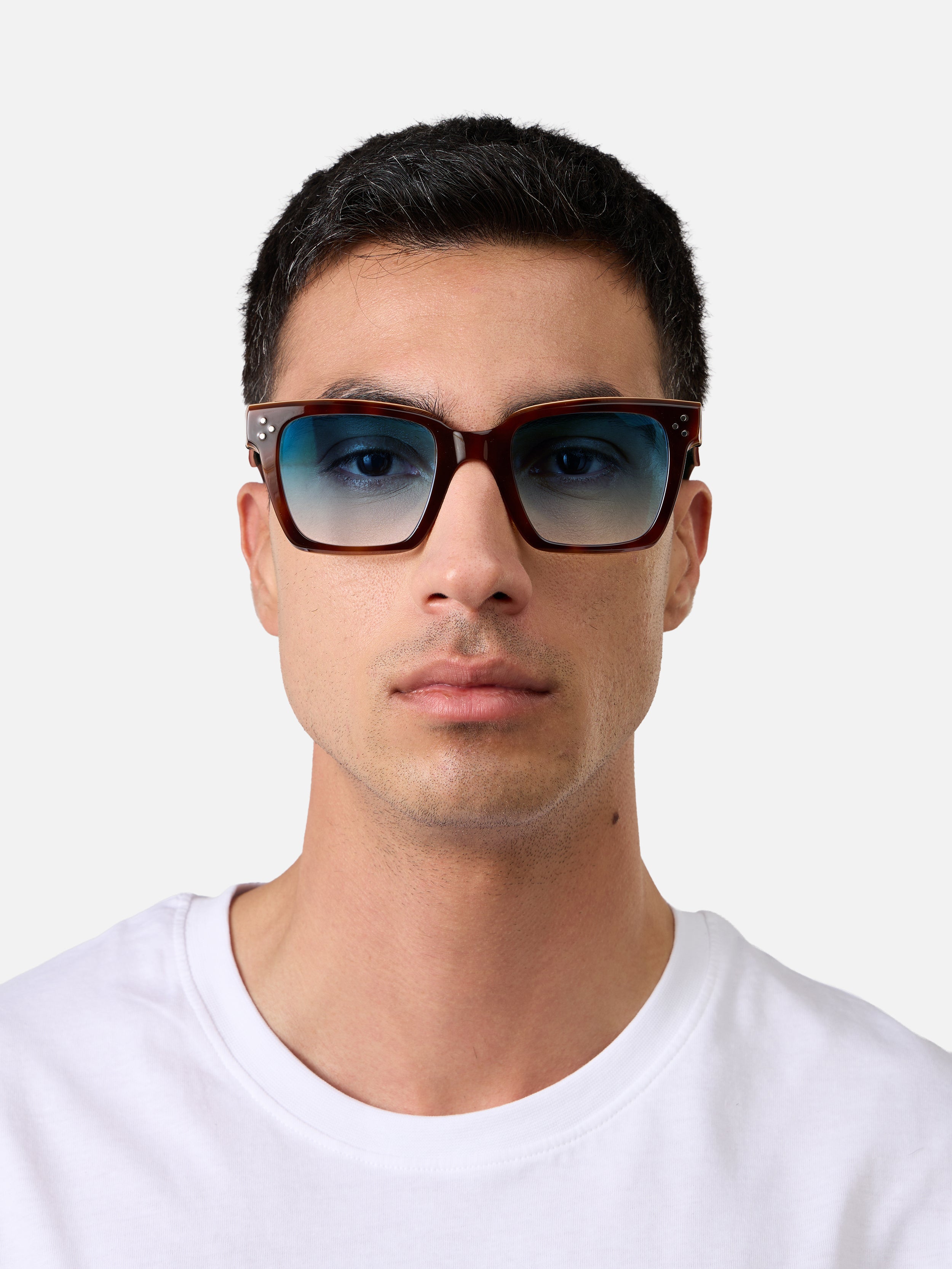 Grand Tortoise Carnival