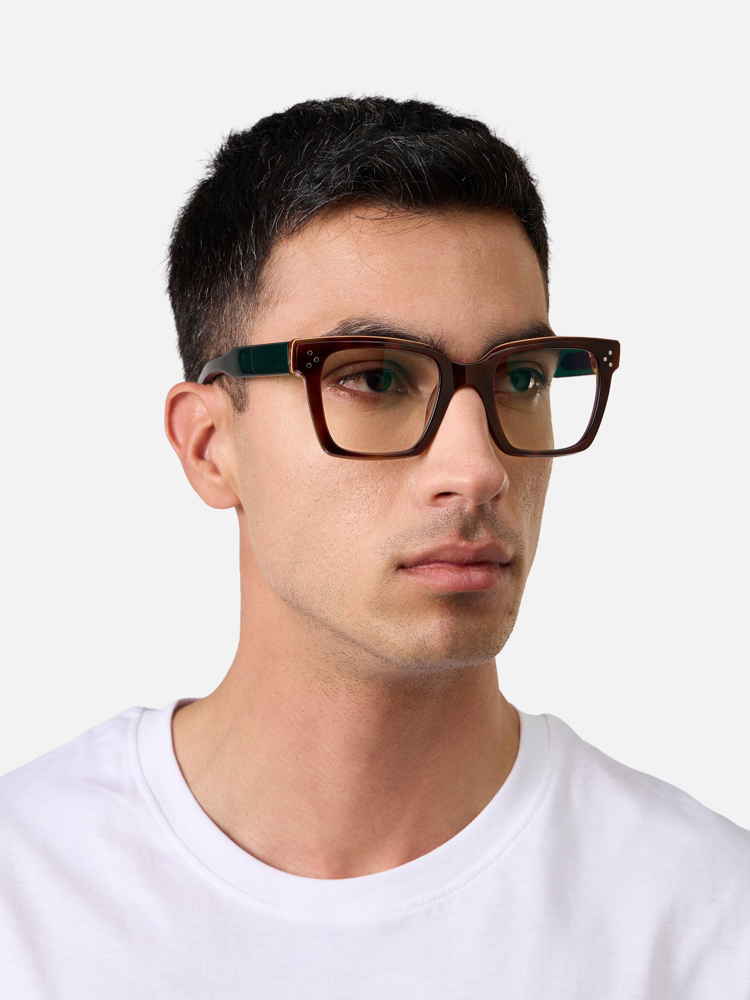 Grand Tortoise Lam Emerald Green