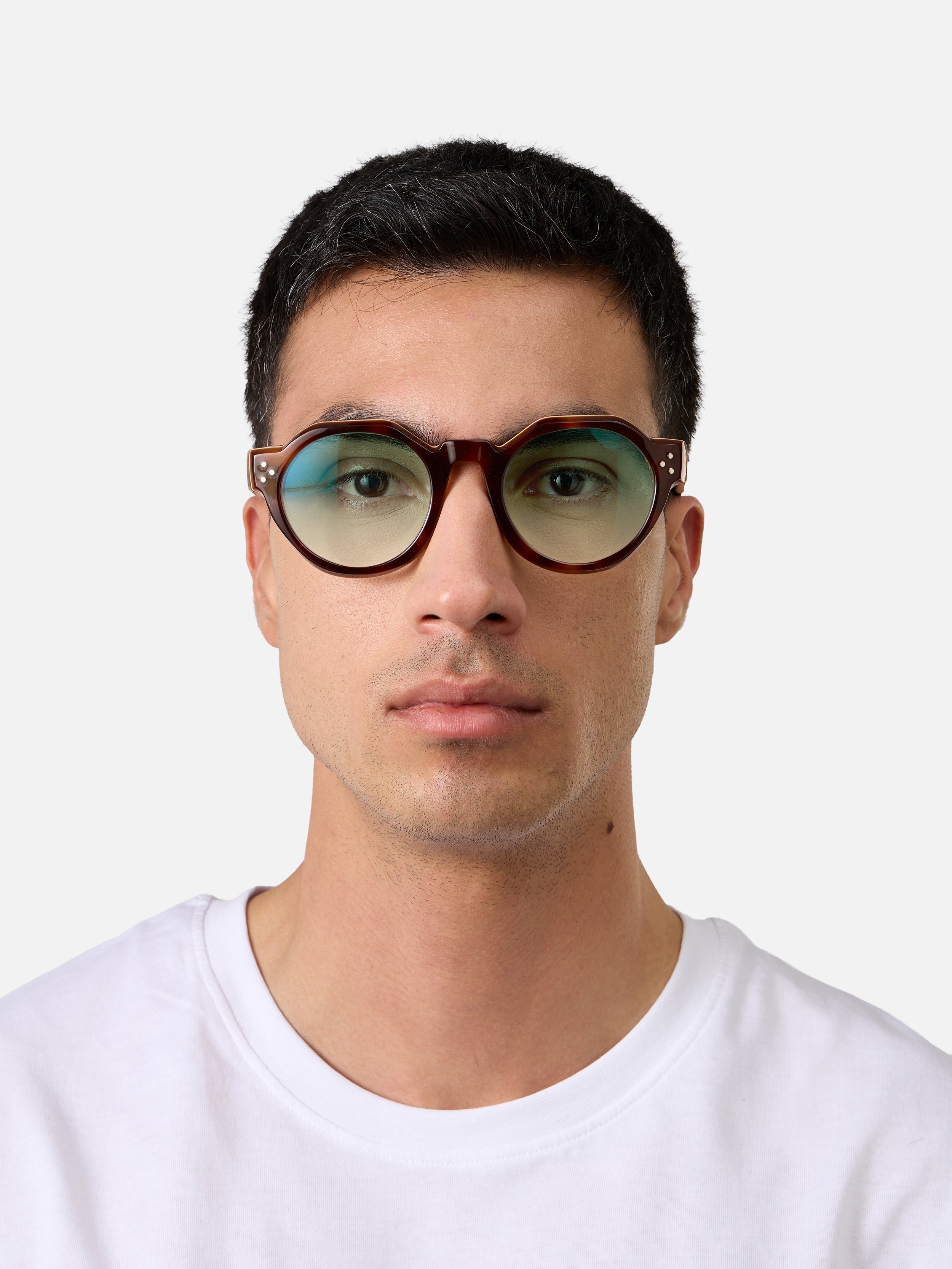 Paradise Tortoise Carnival