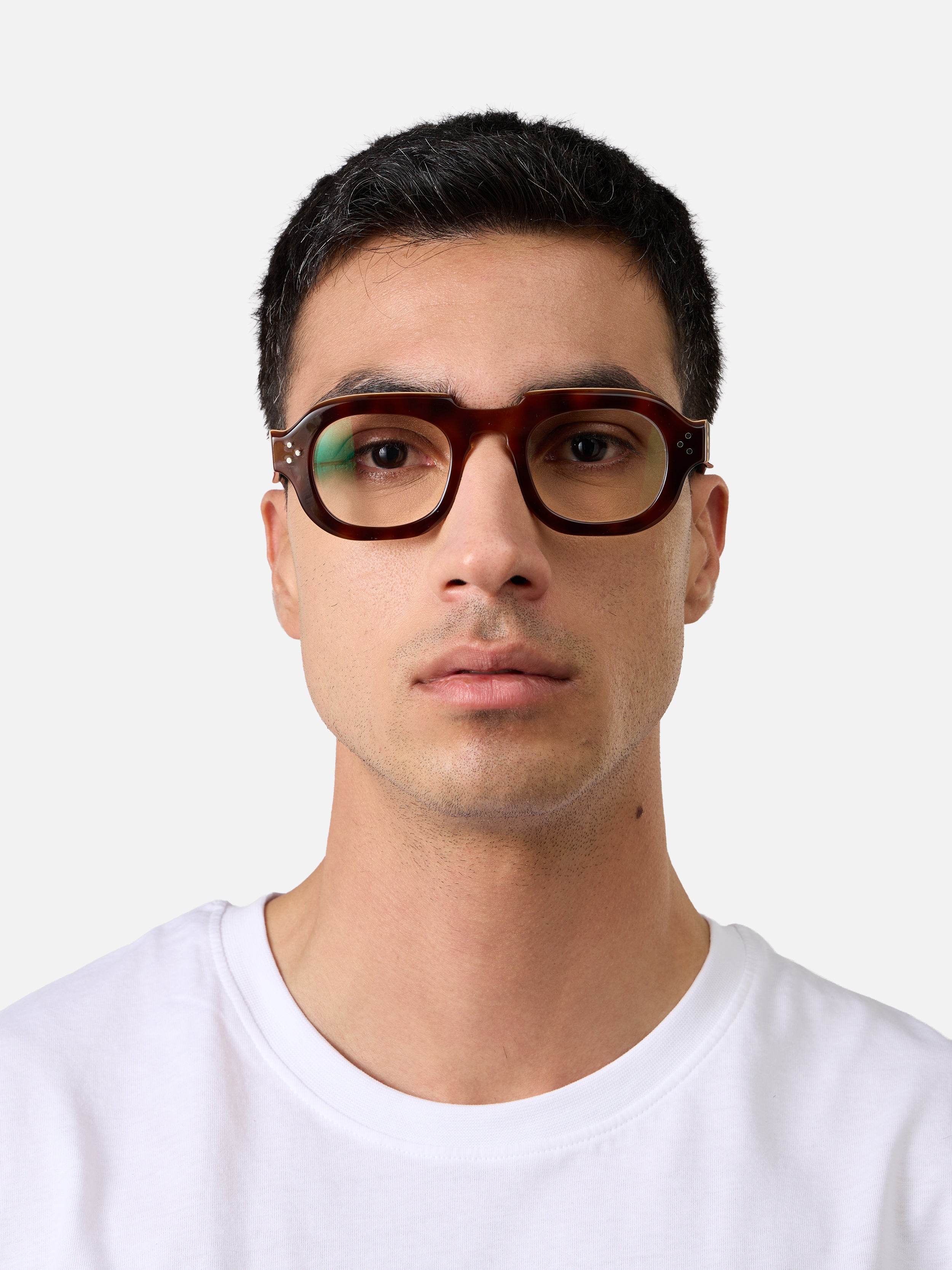 Hermann Tortoise Lam Emerald Green