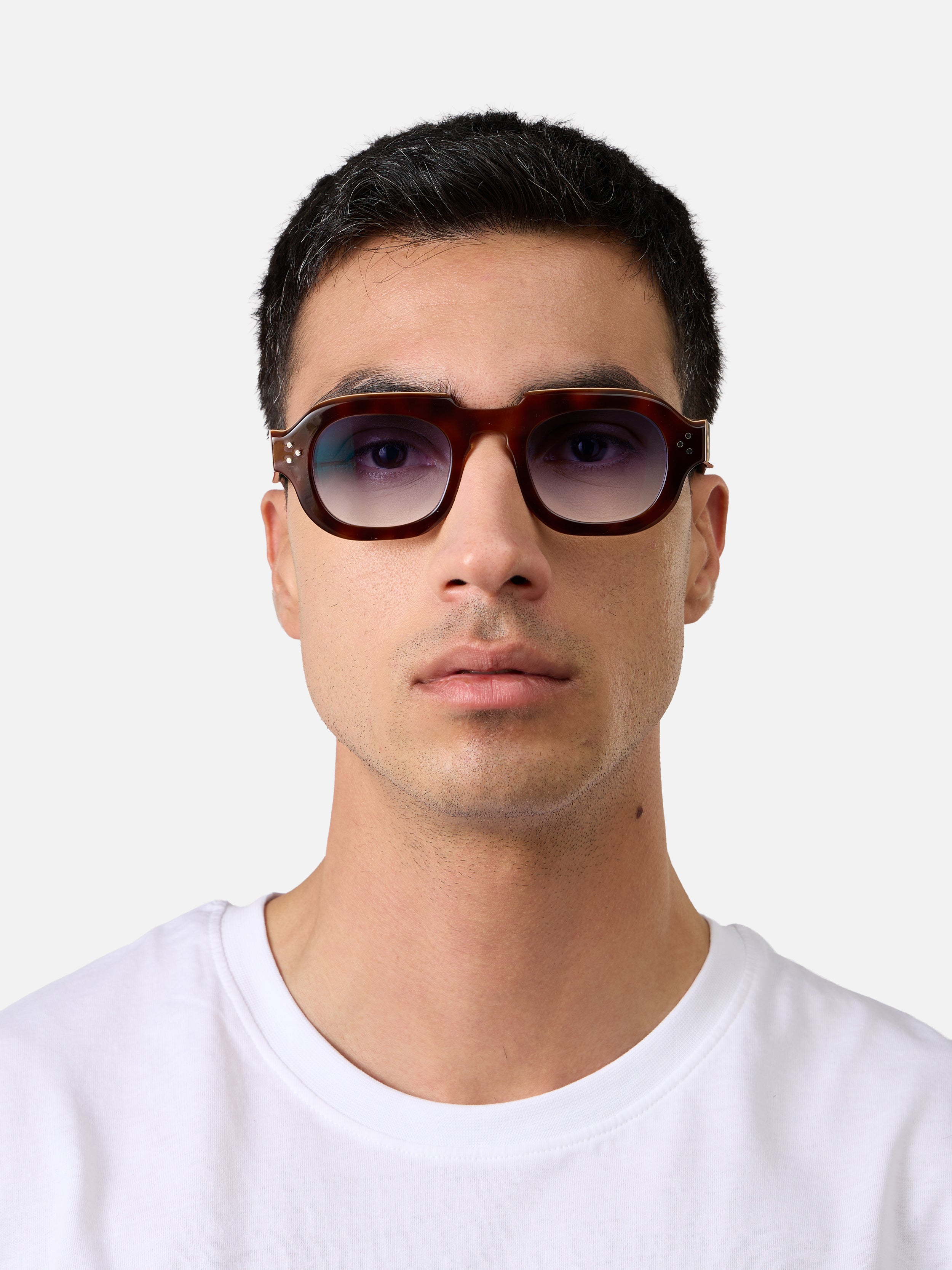 Hermann Tortoise Carnival