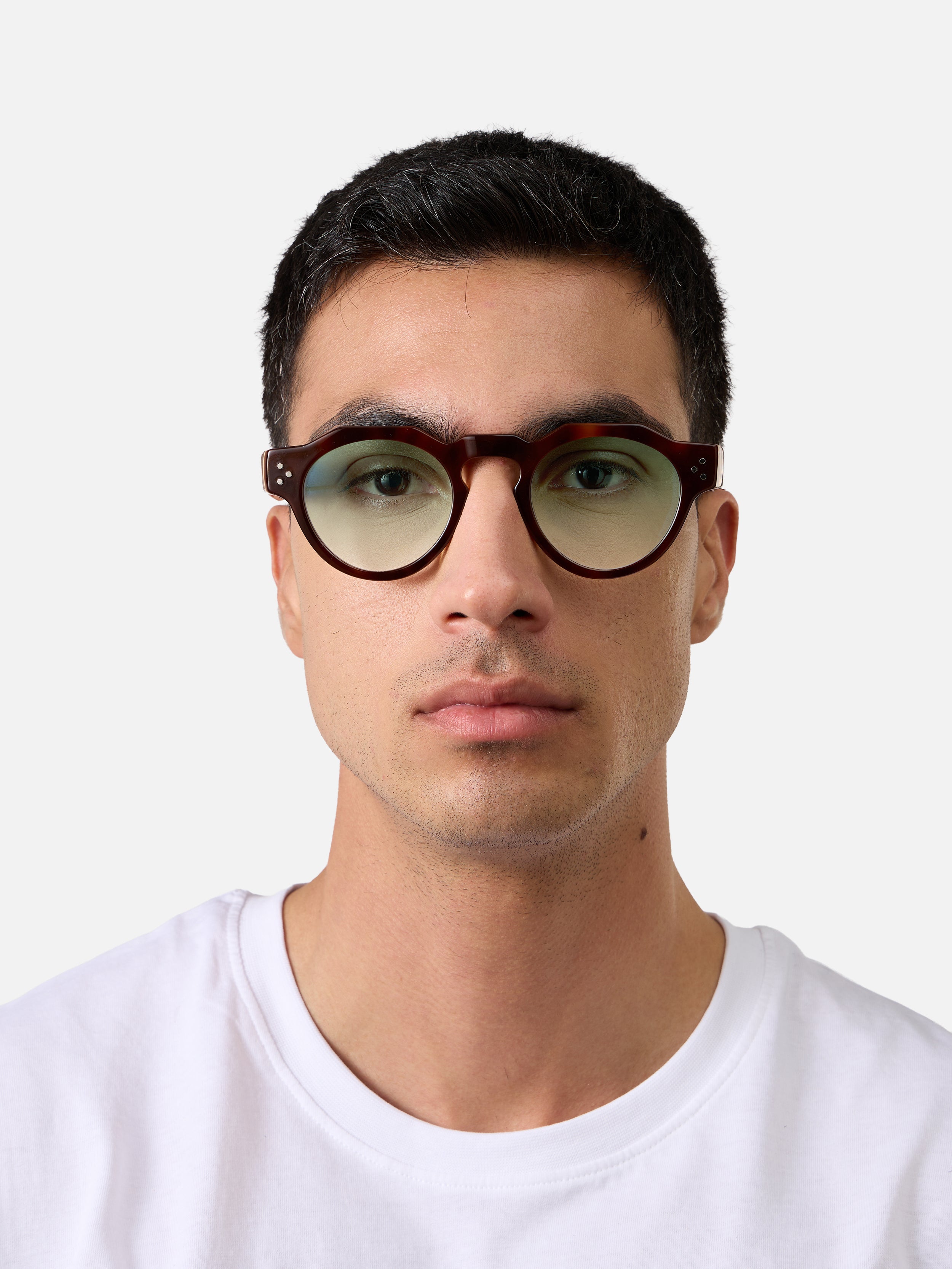 Panto Tortoise Carnival