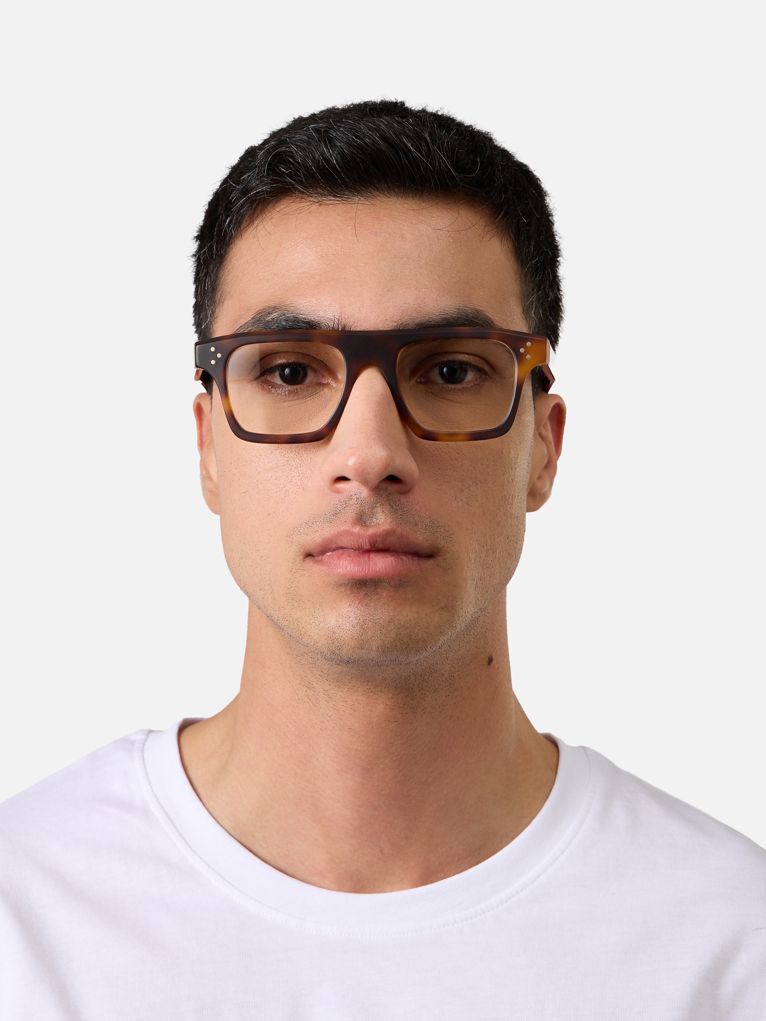 Suri Tortoise Structura