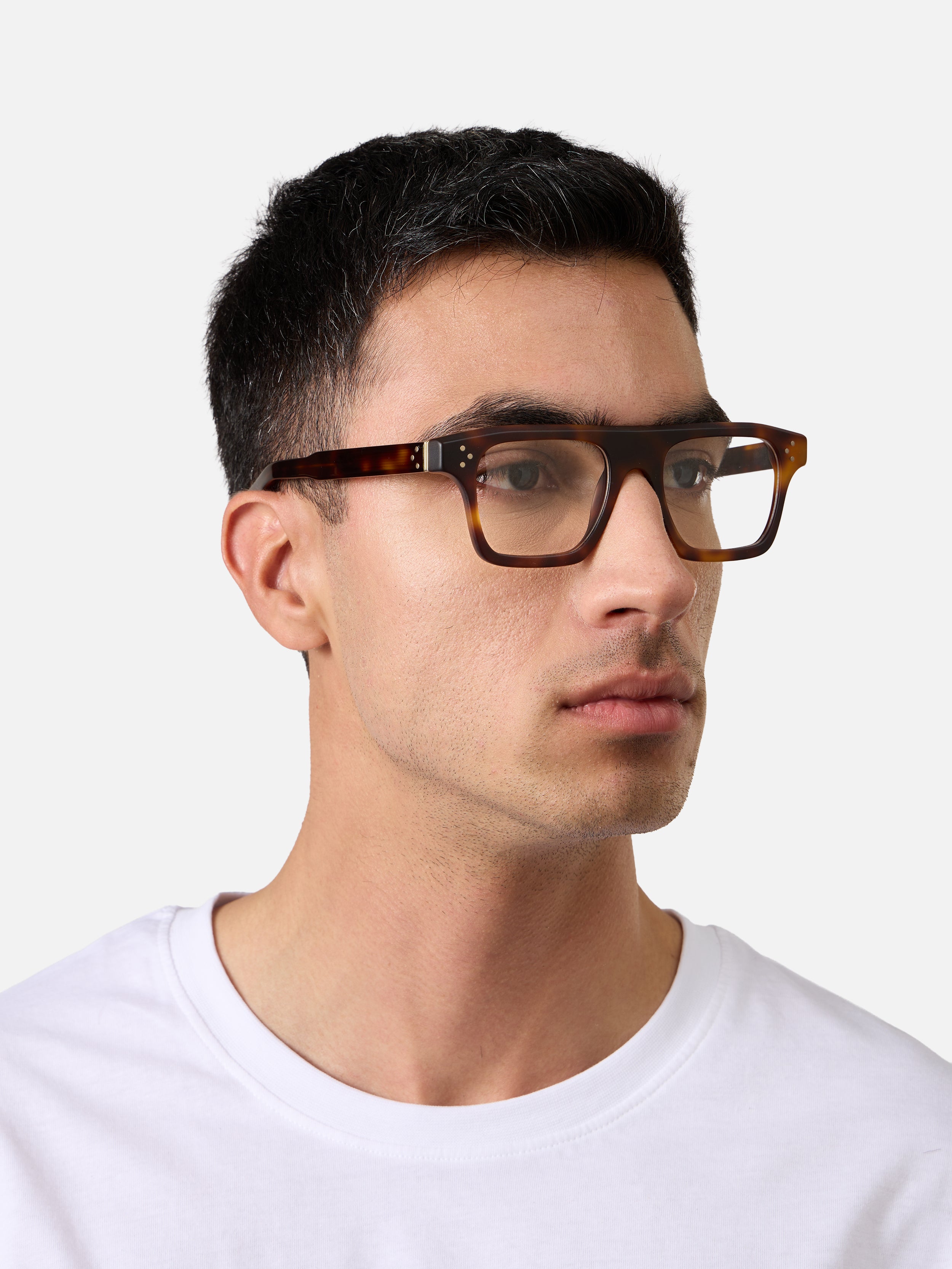 Suri Tortoise Structura