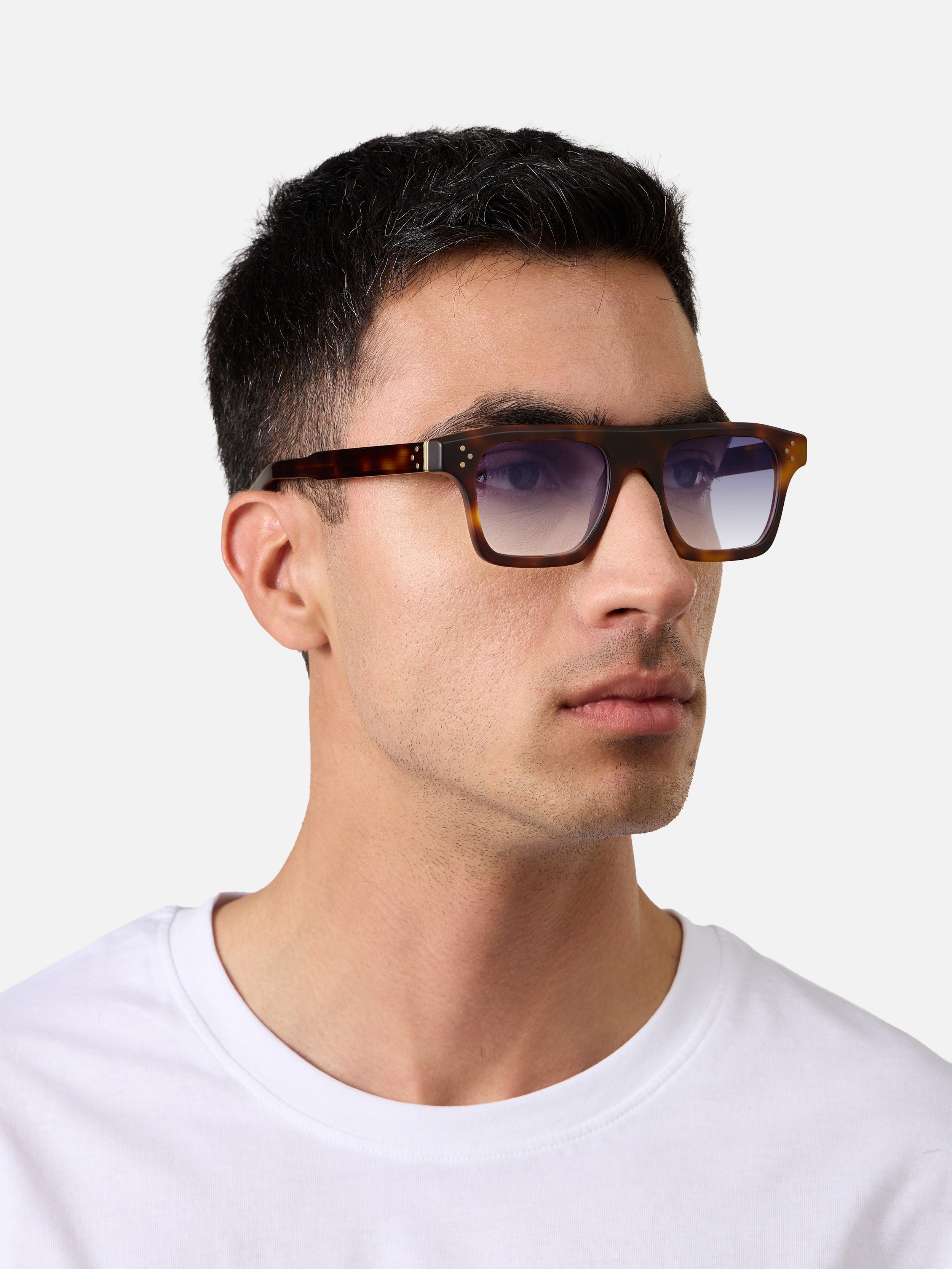 Suri Tortoise Structura