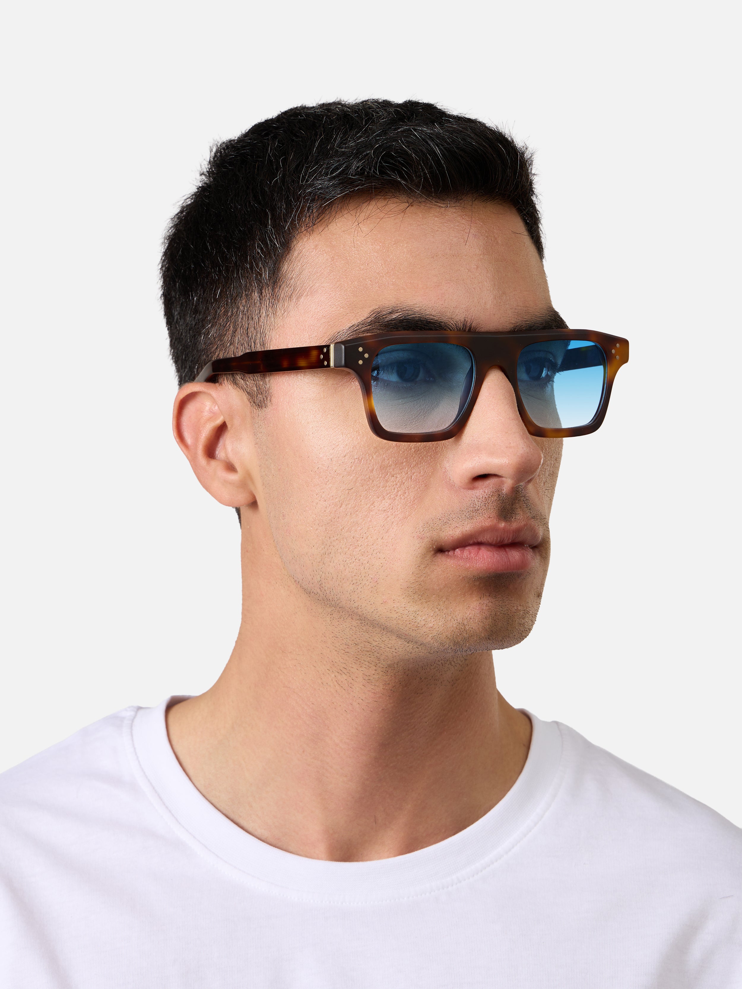 Suri Tortoise Structura