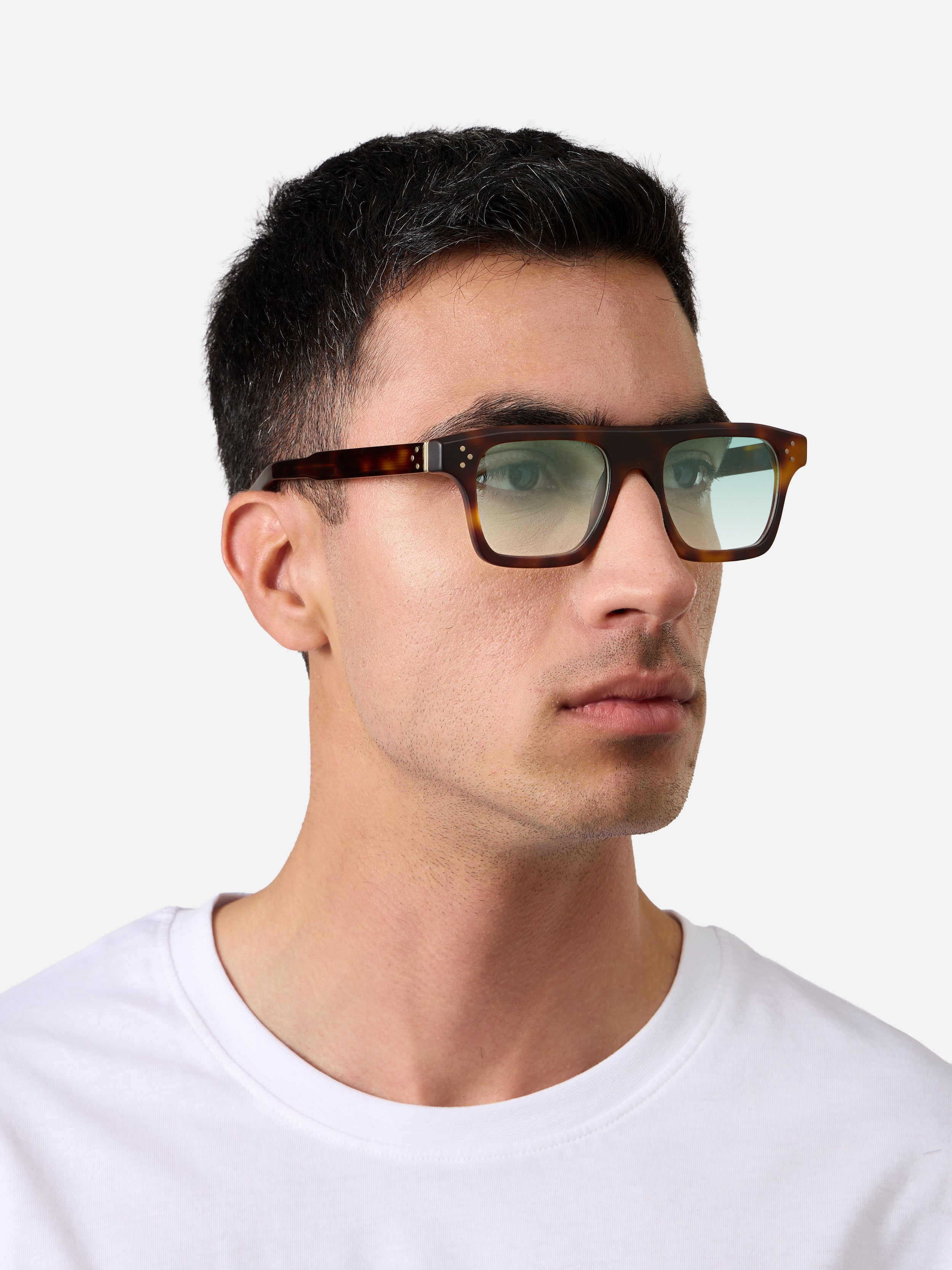 Suri Tortoise Structura