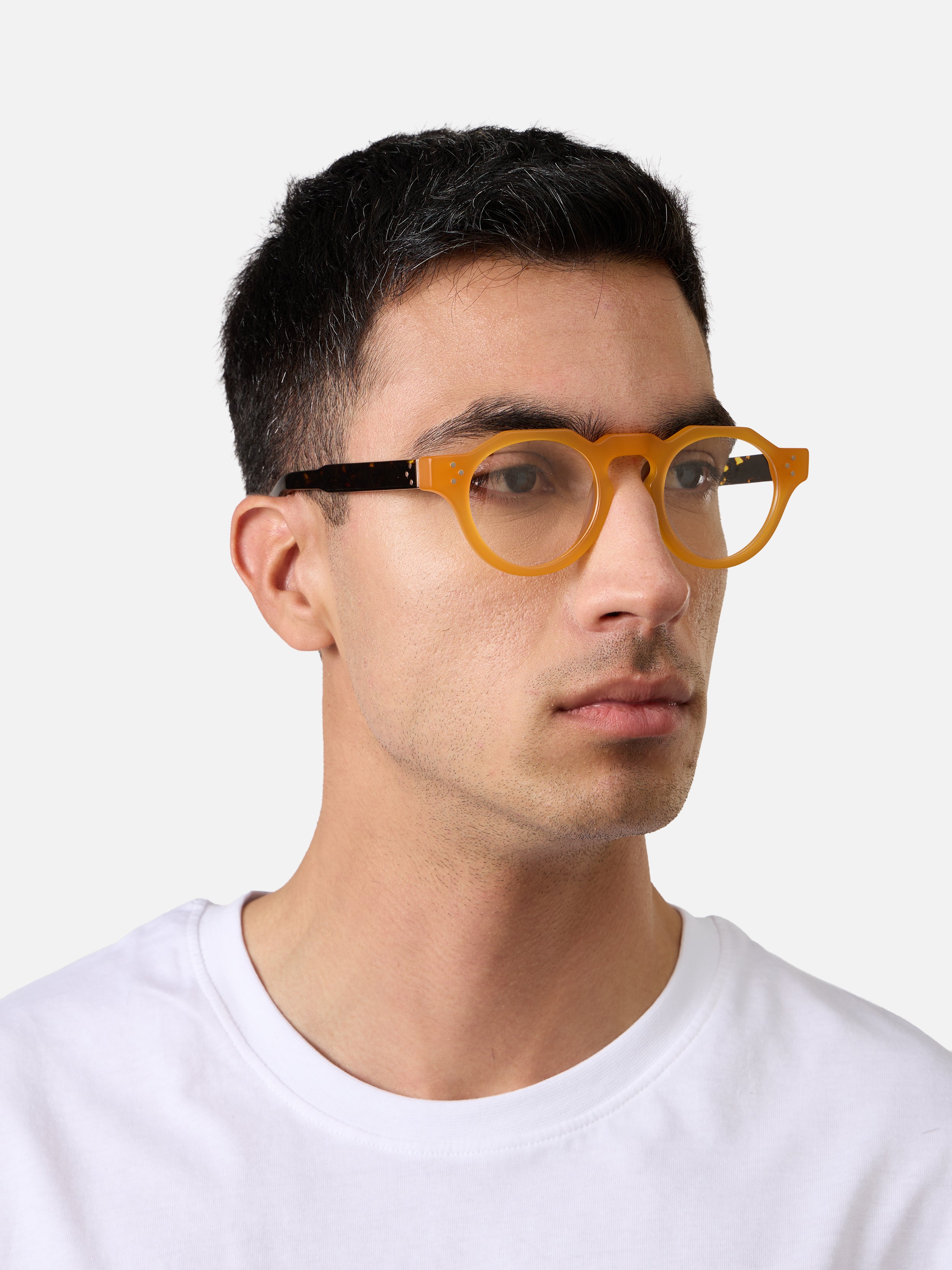 Panto Honey Structura