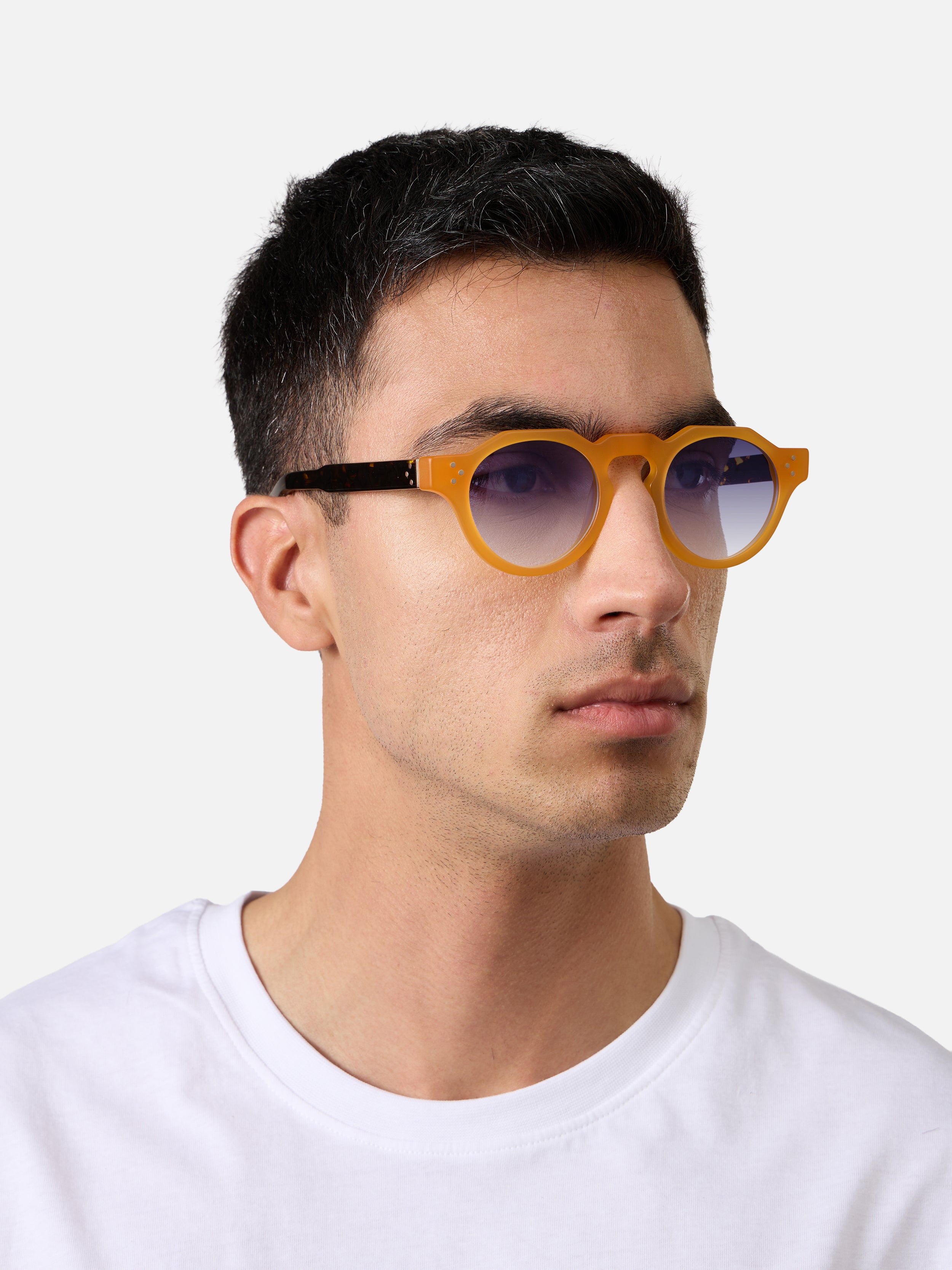 Panto Honey Structura