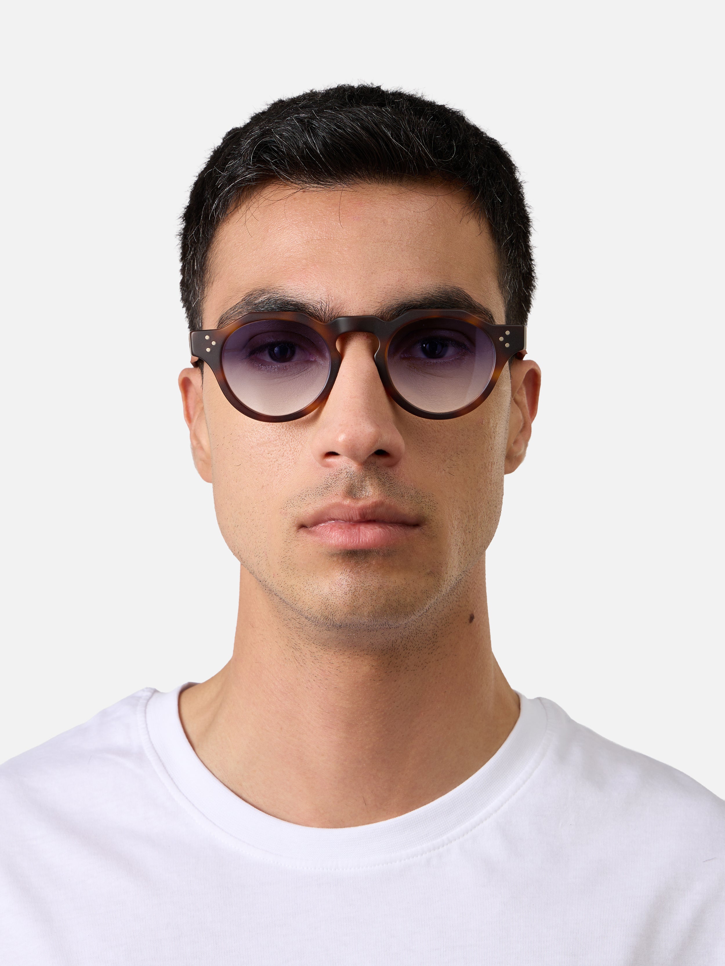 Panto Tortoise Structura