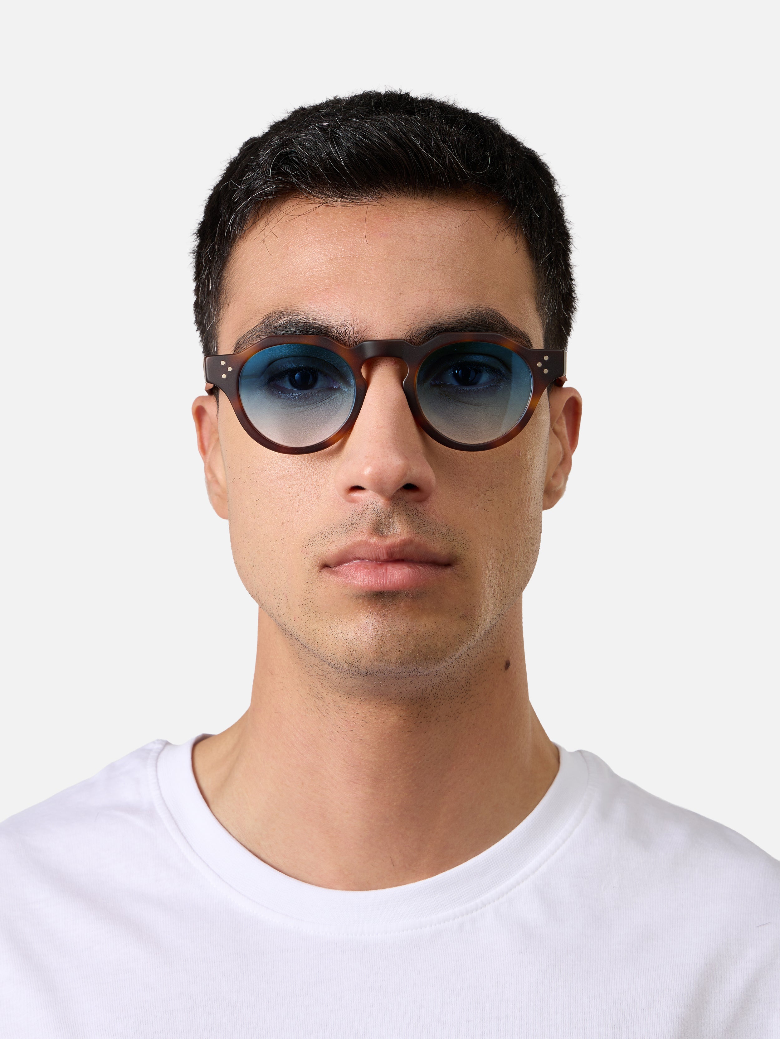 Panto Tortoise Structura