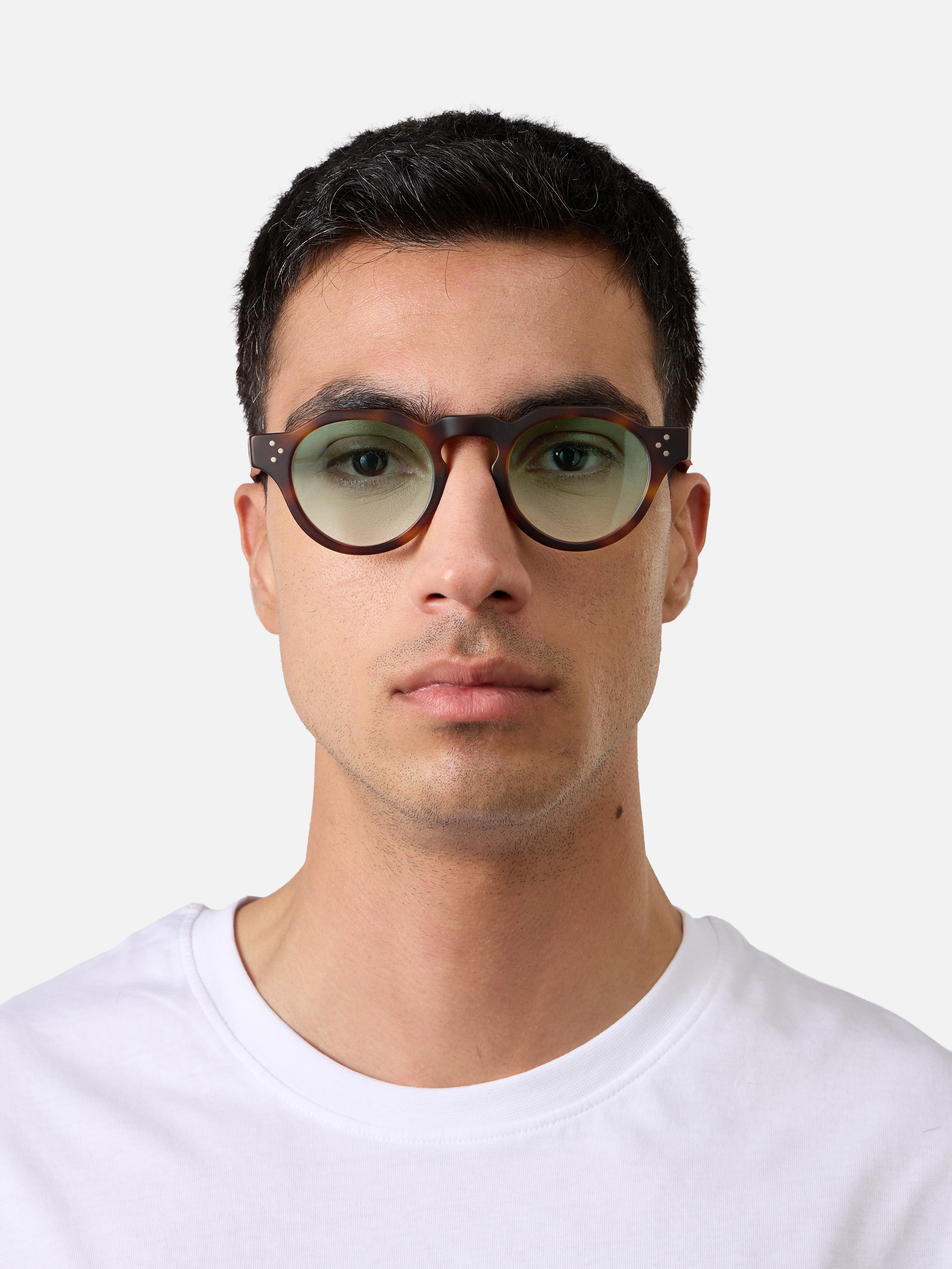 Panto Tortoise Structura