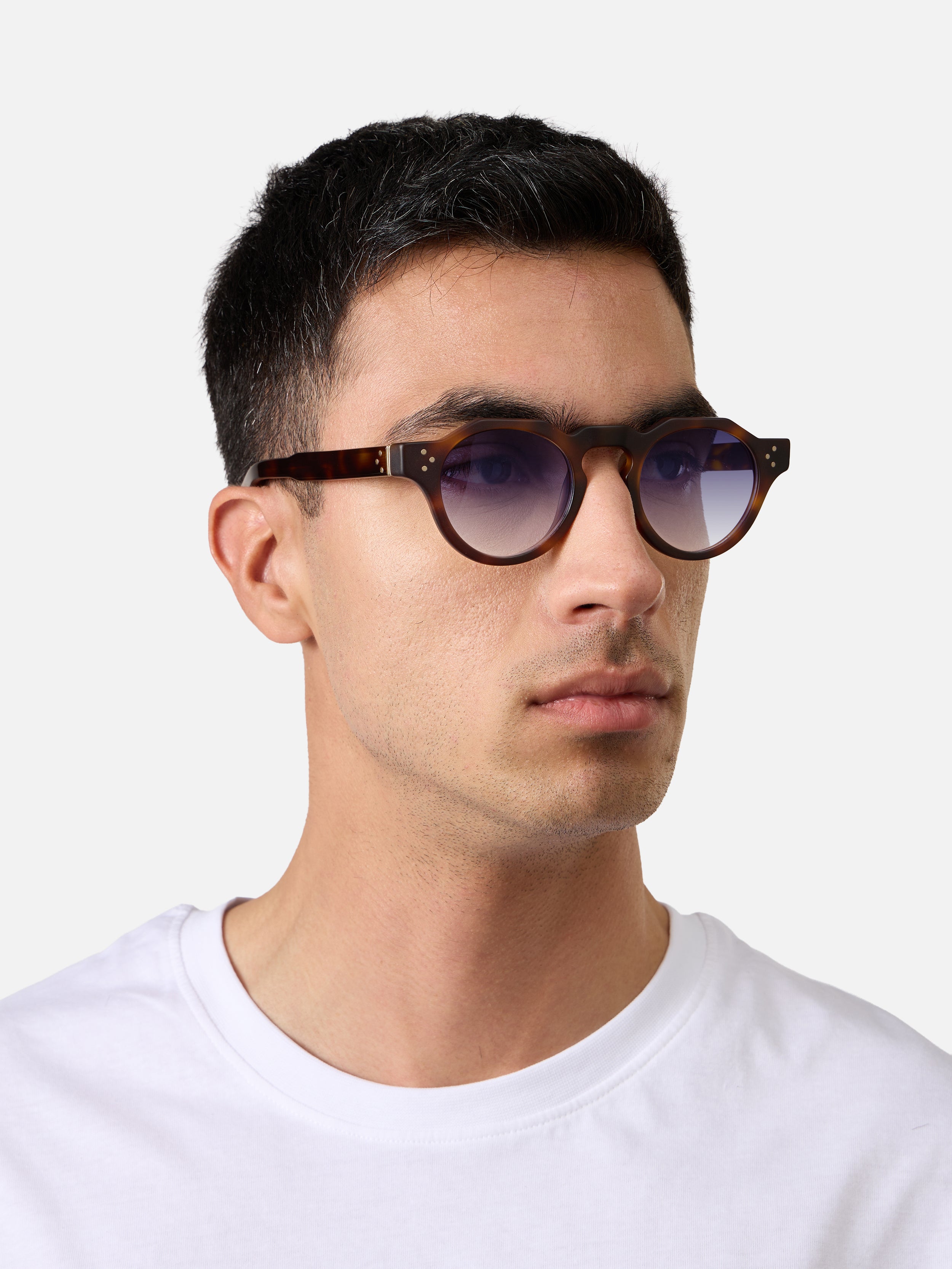 Panto Tortoise Structura