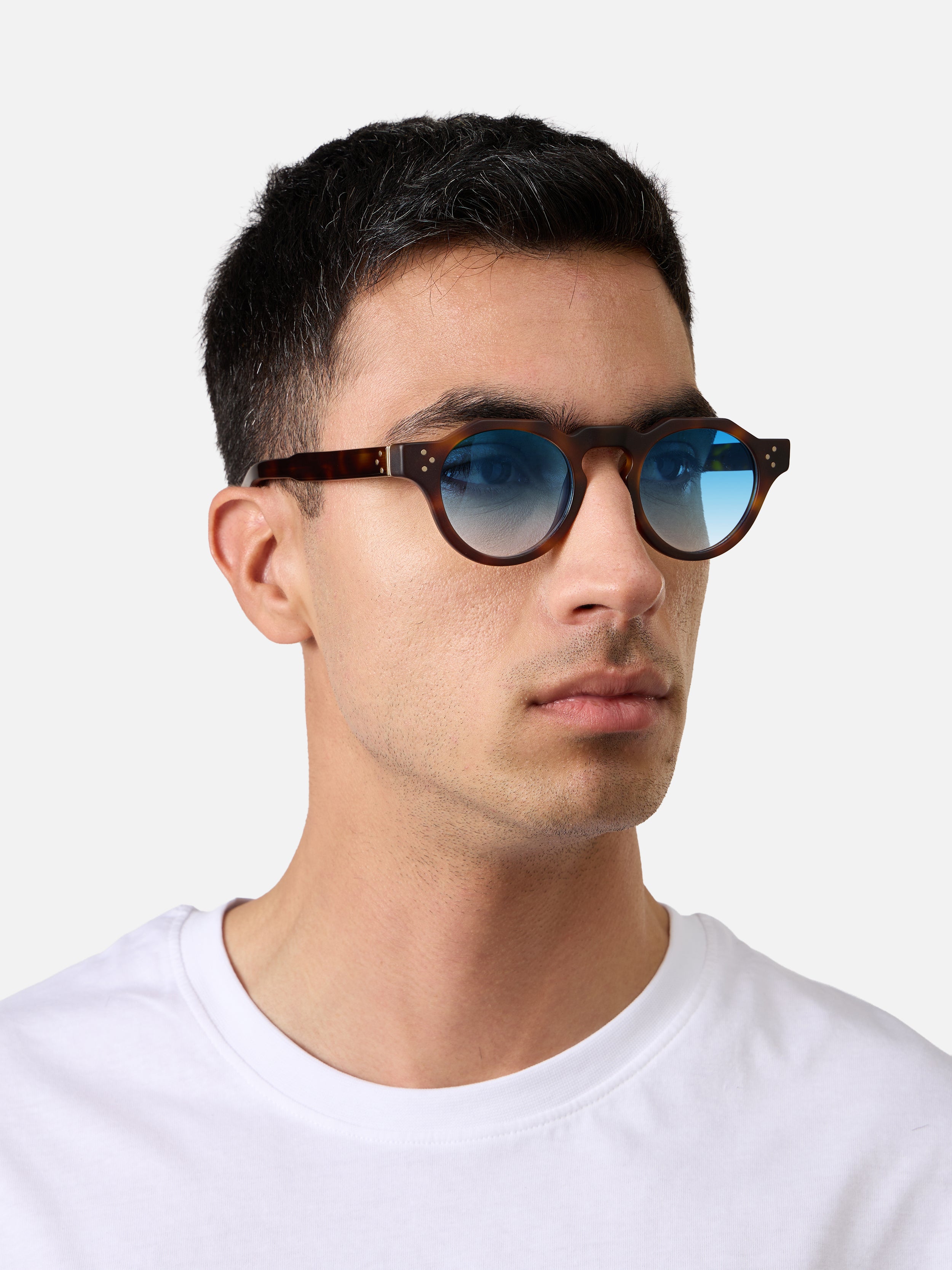 Panto Tortoise Structura