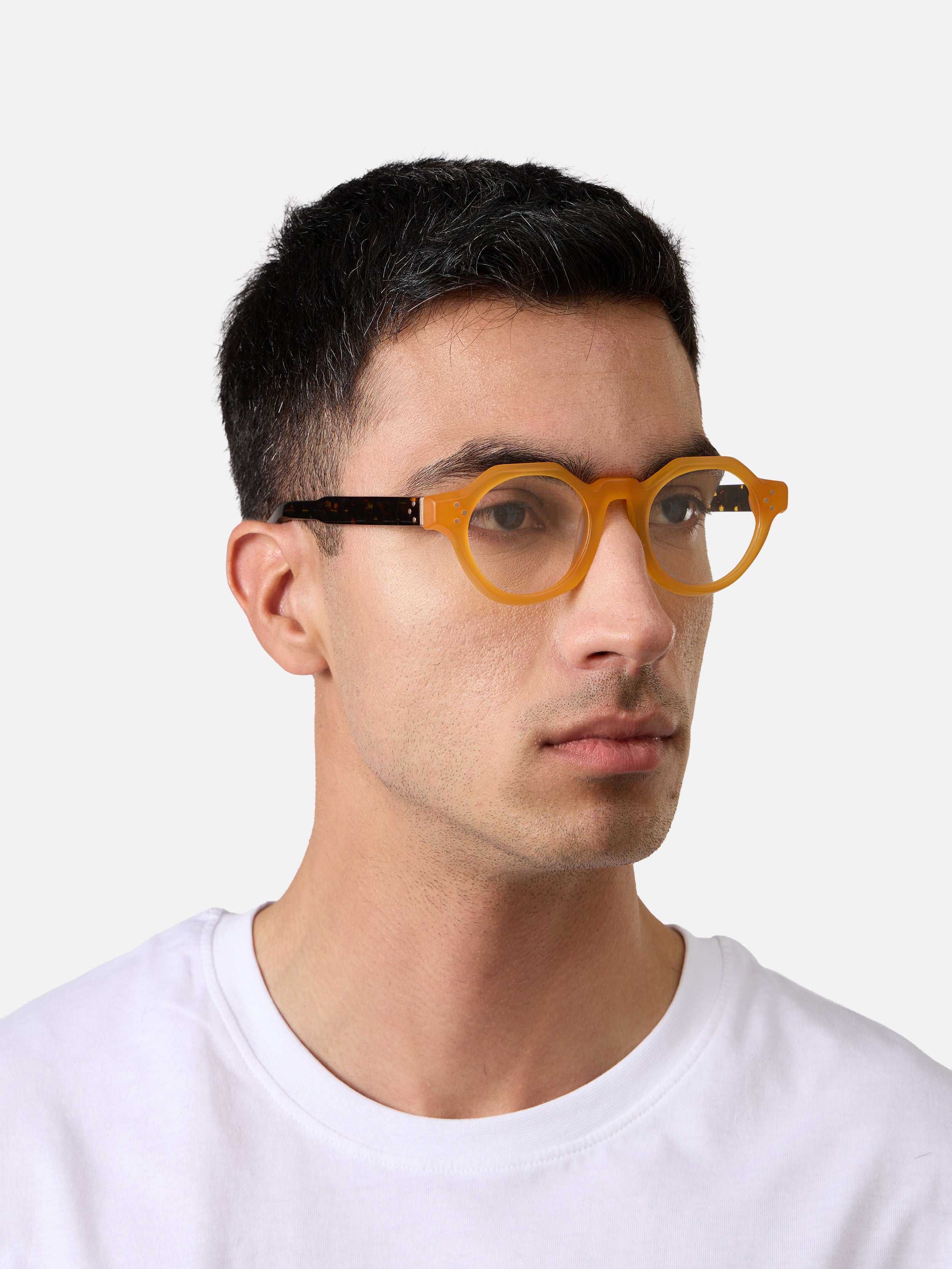 Paradise Honey Structura