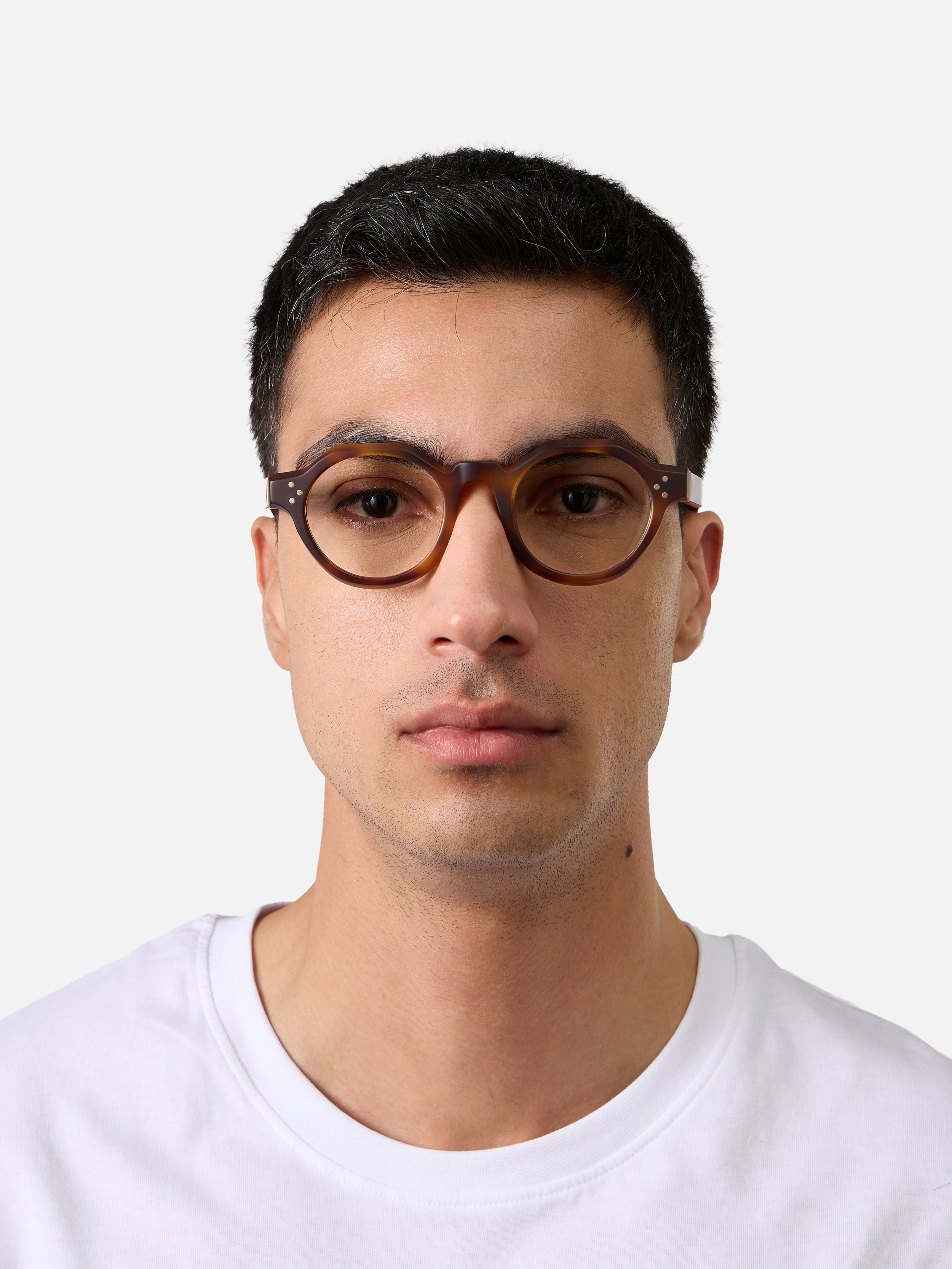 Paradise Tortoise Structura