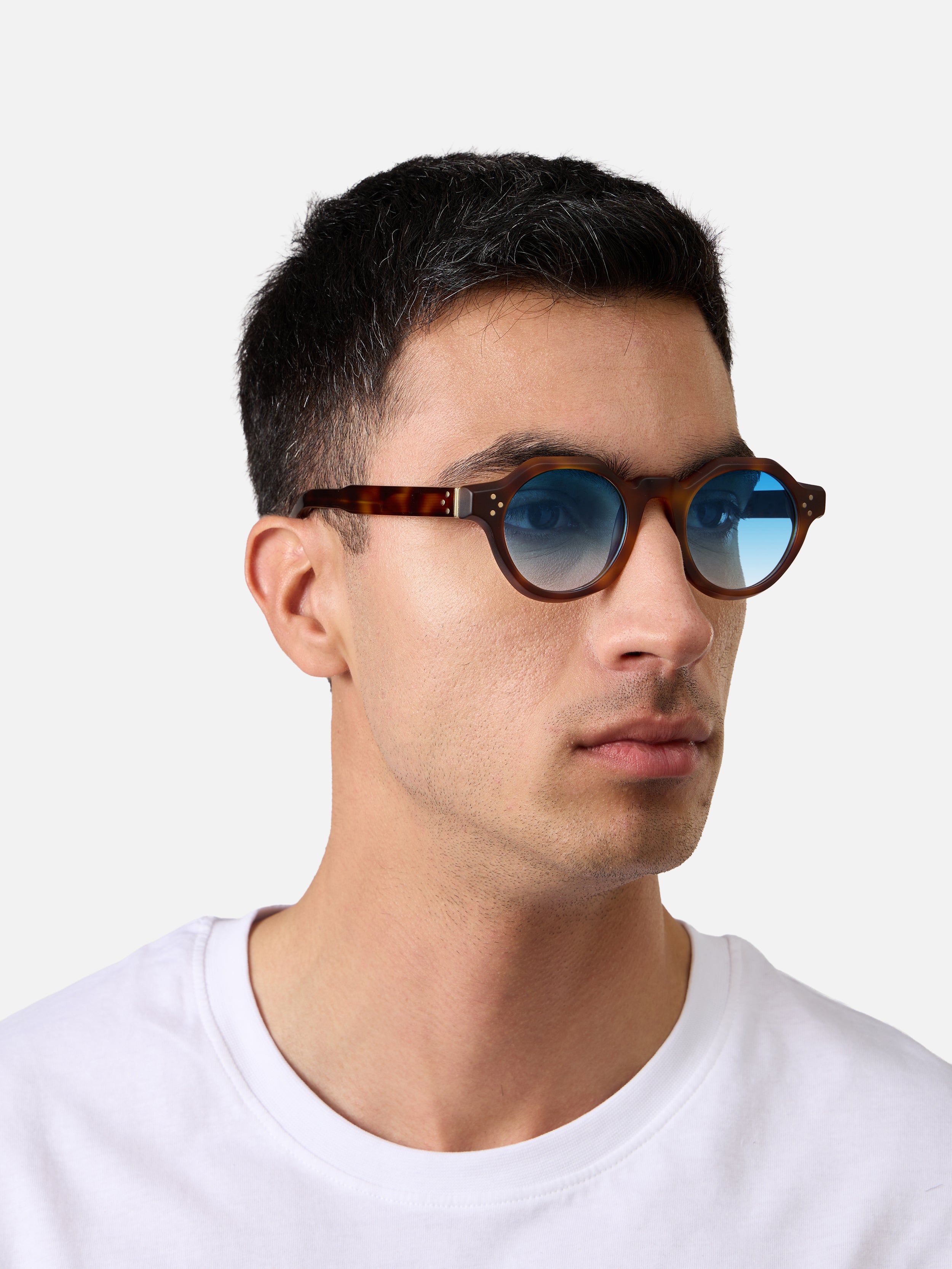 Paradise Tortoise Structura