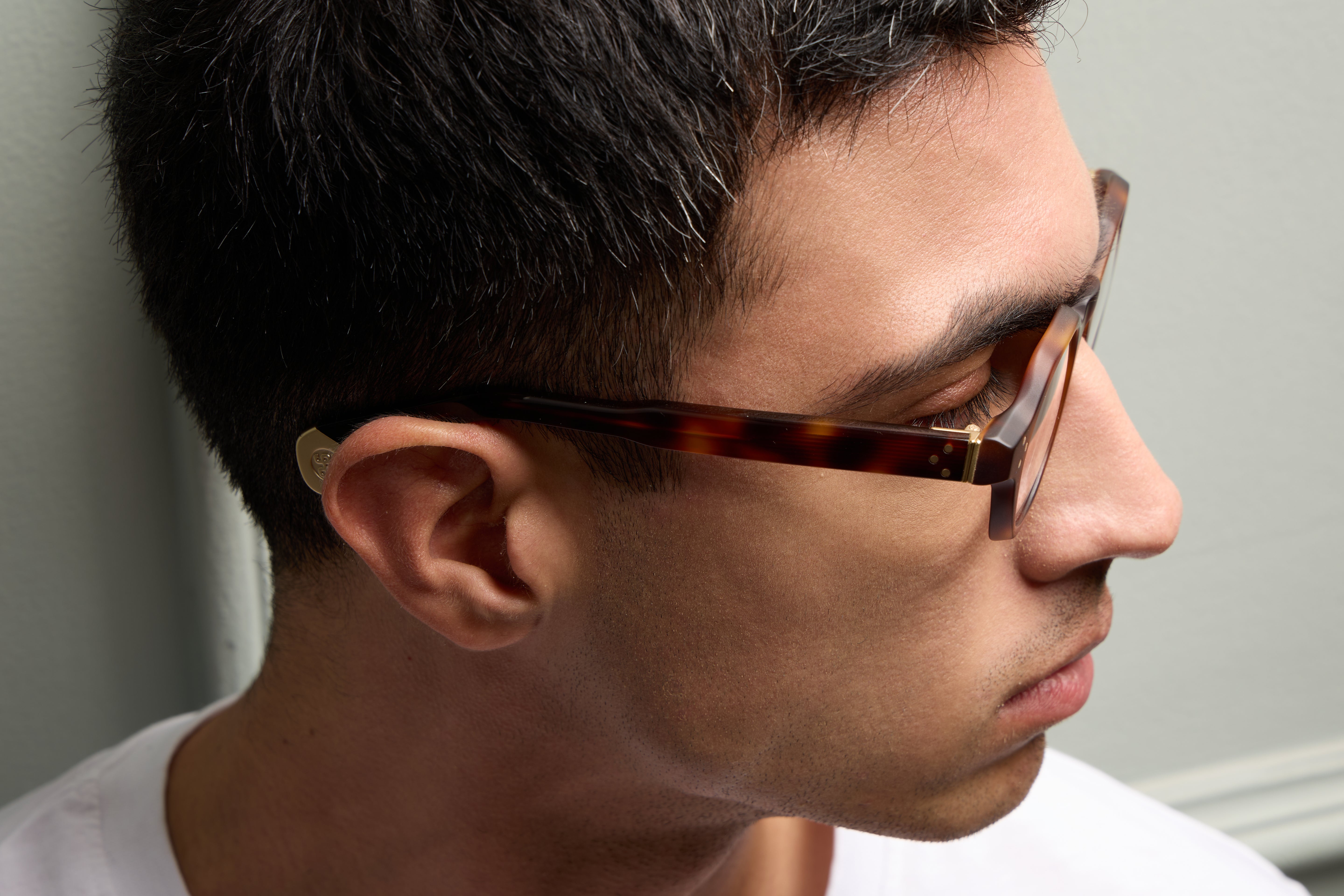 Paradise Tortoise Structura