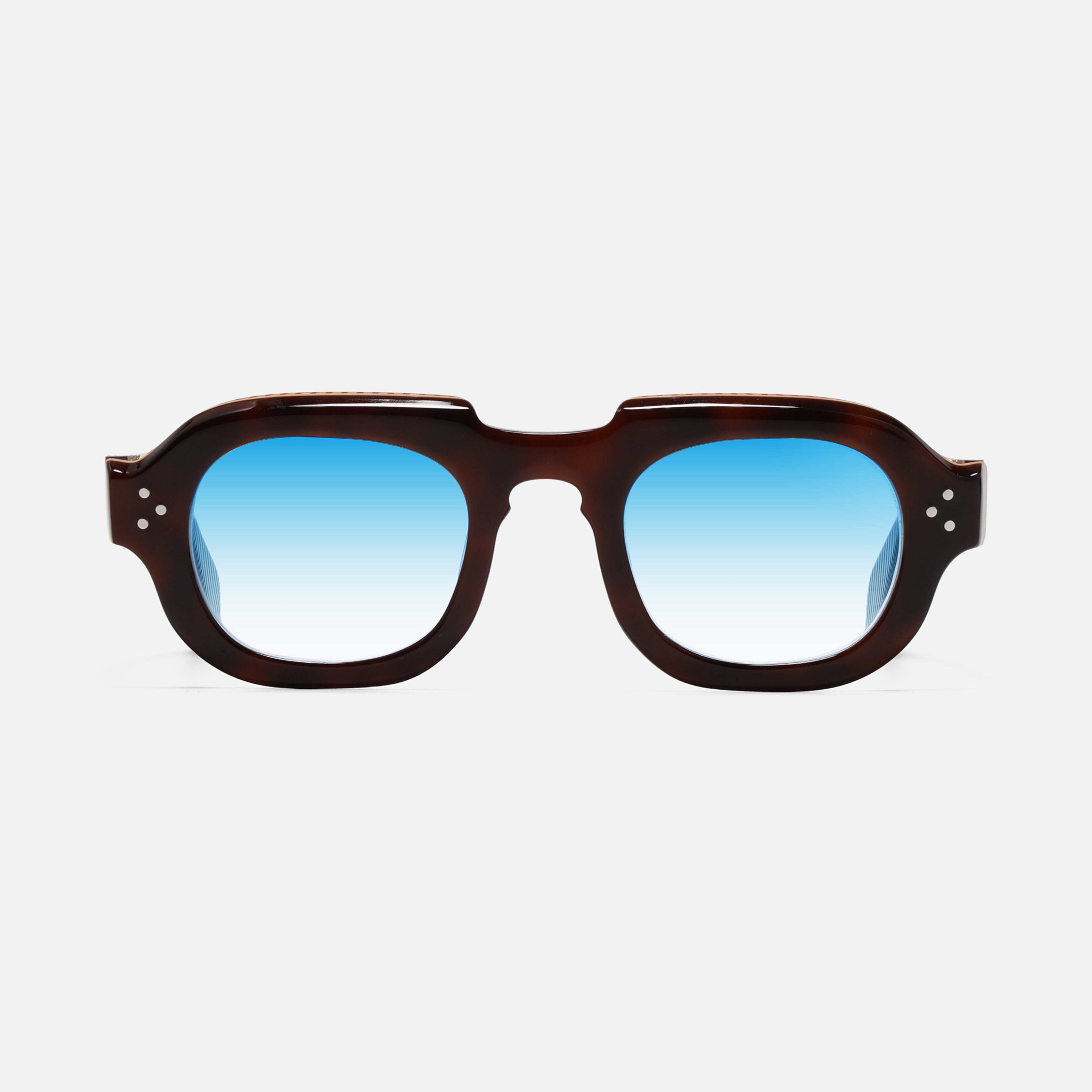 Hermann Tortoise Carnival