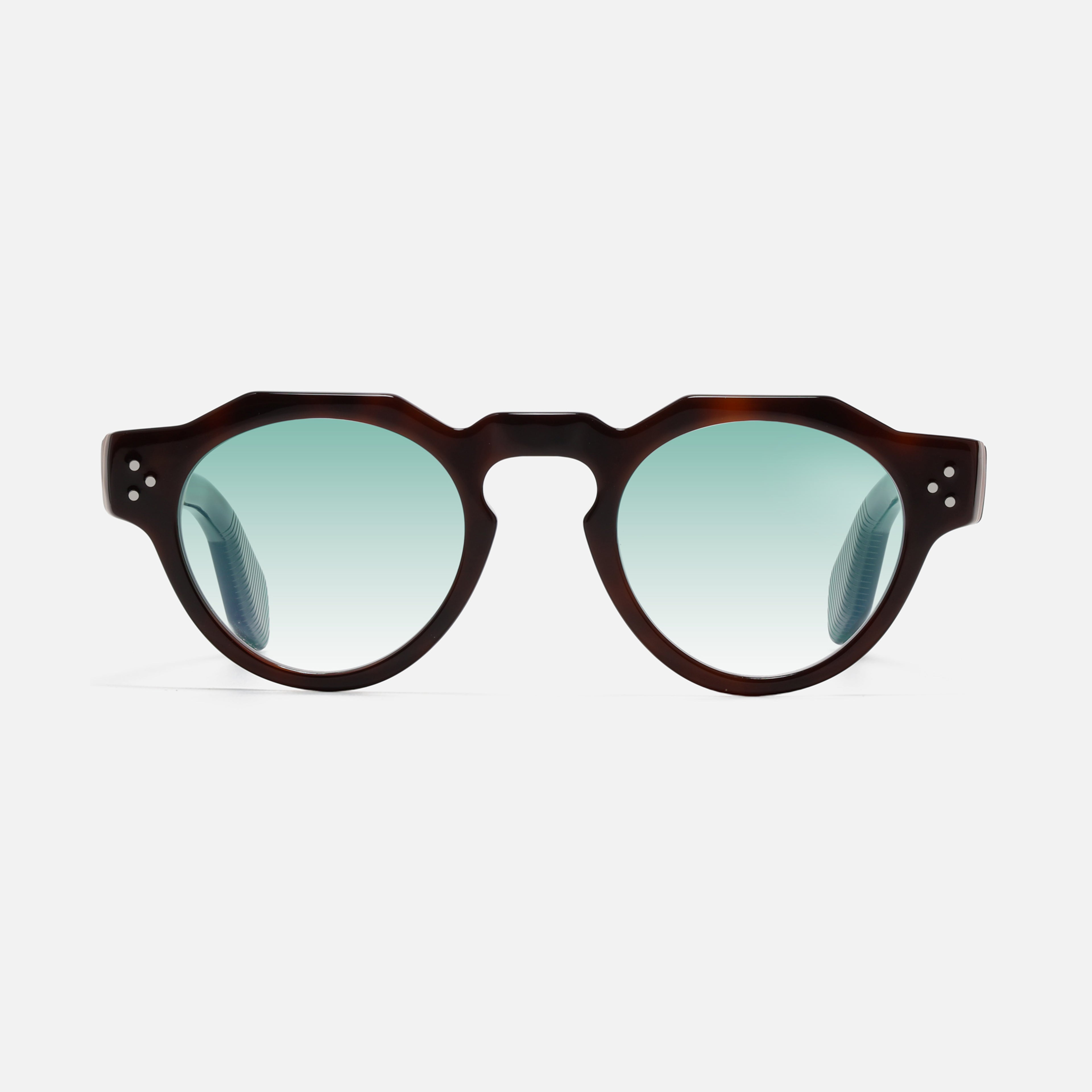 Panto Tortoise Carnival