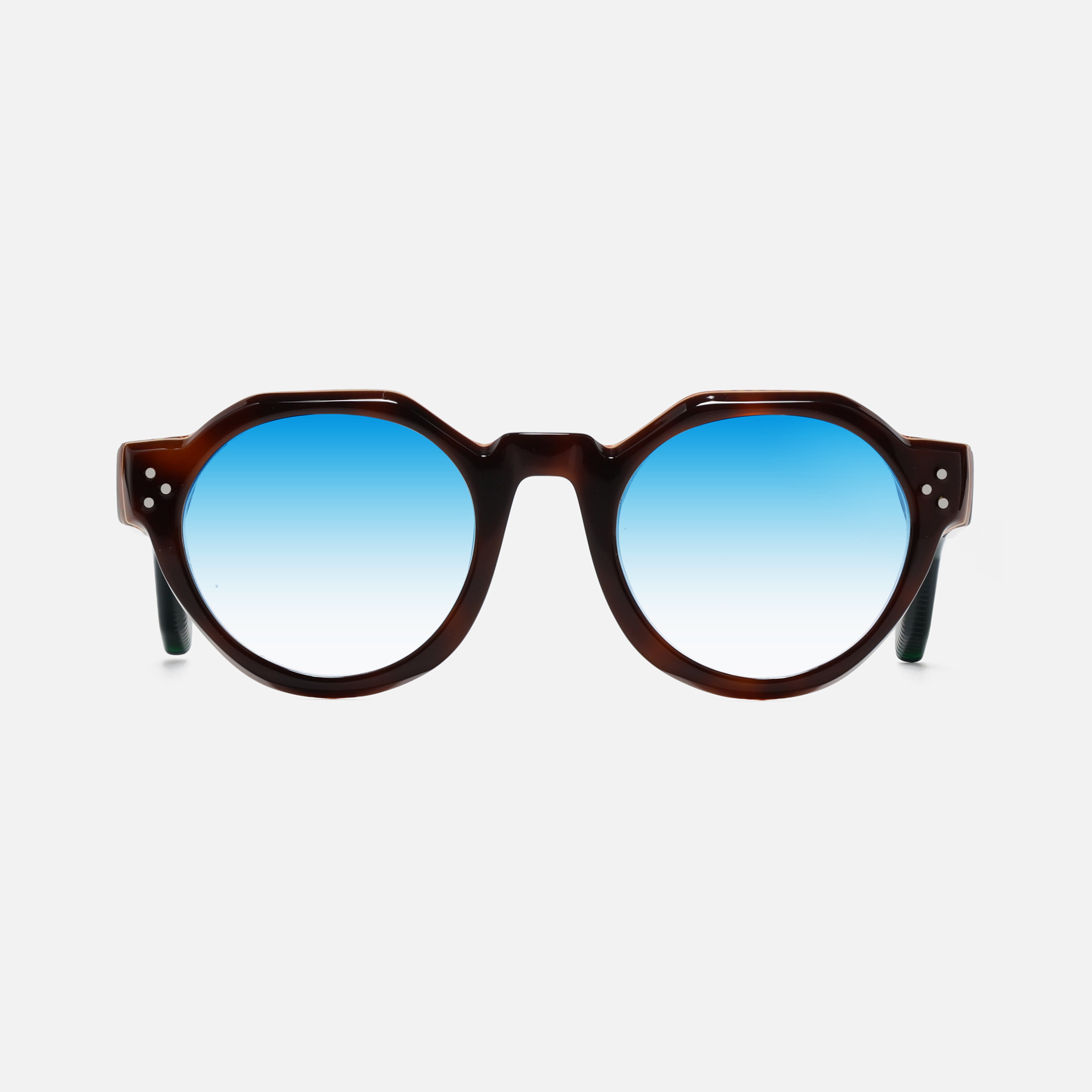 Paradise Tortoise Carnival