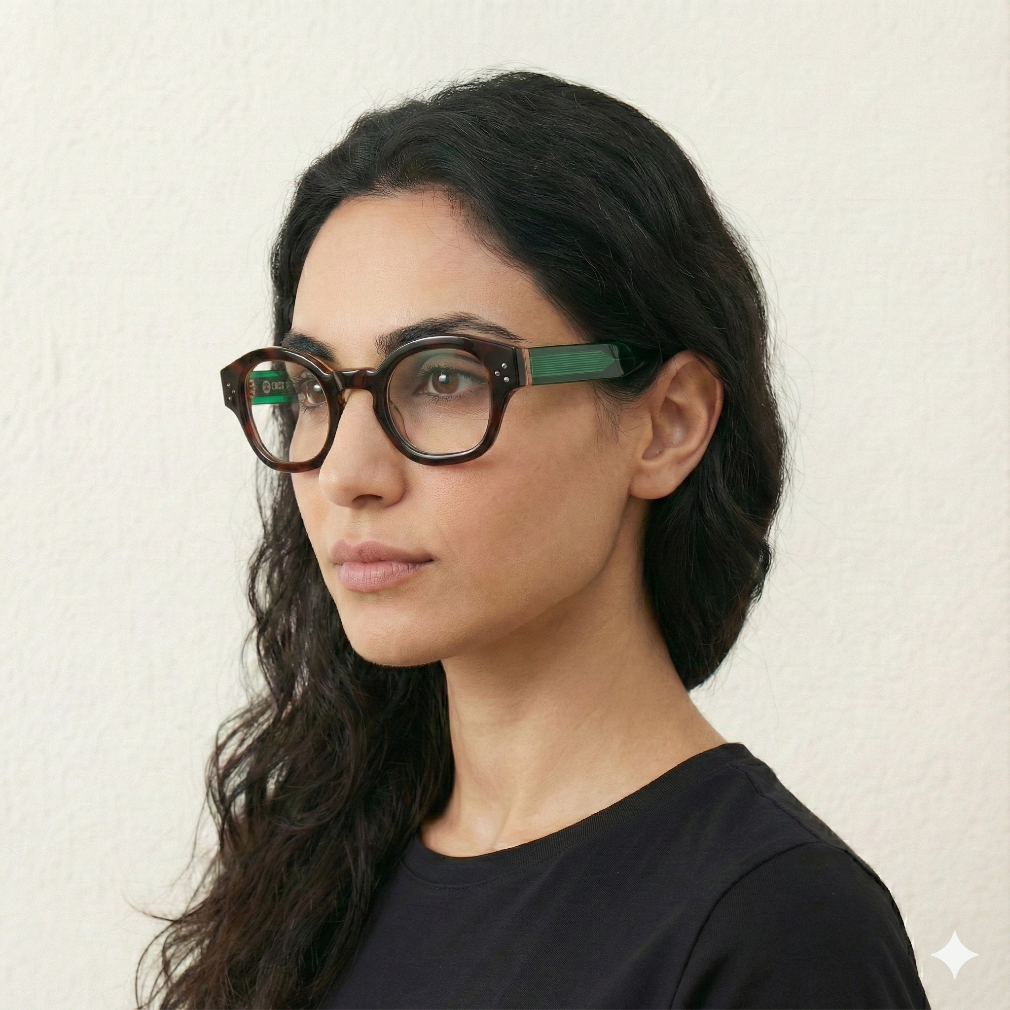 Unjaqd Tortoise carnival