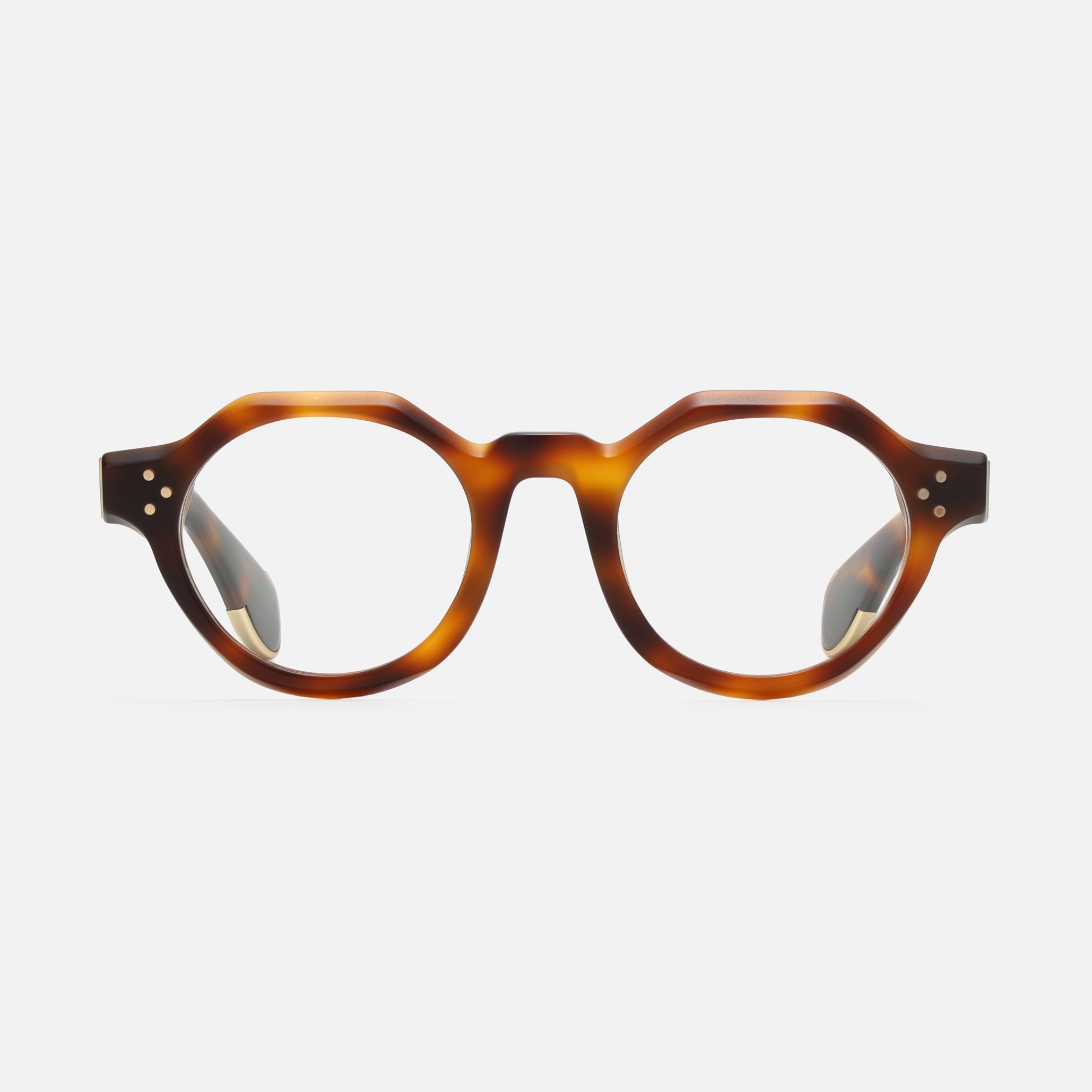 Paradise Tortoise Structura