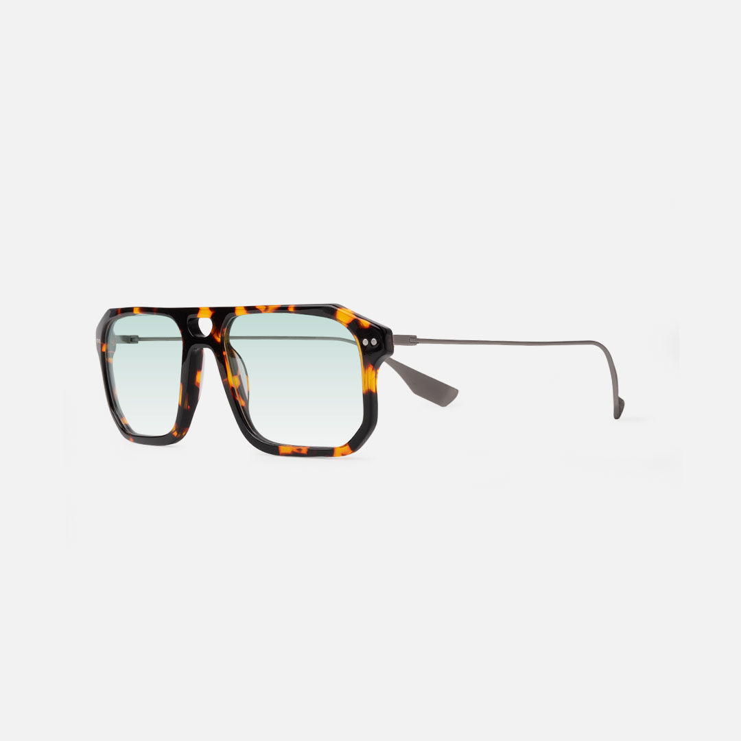 Raywar Tortoise & Silver SG