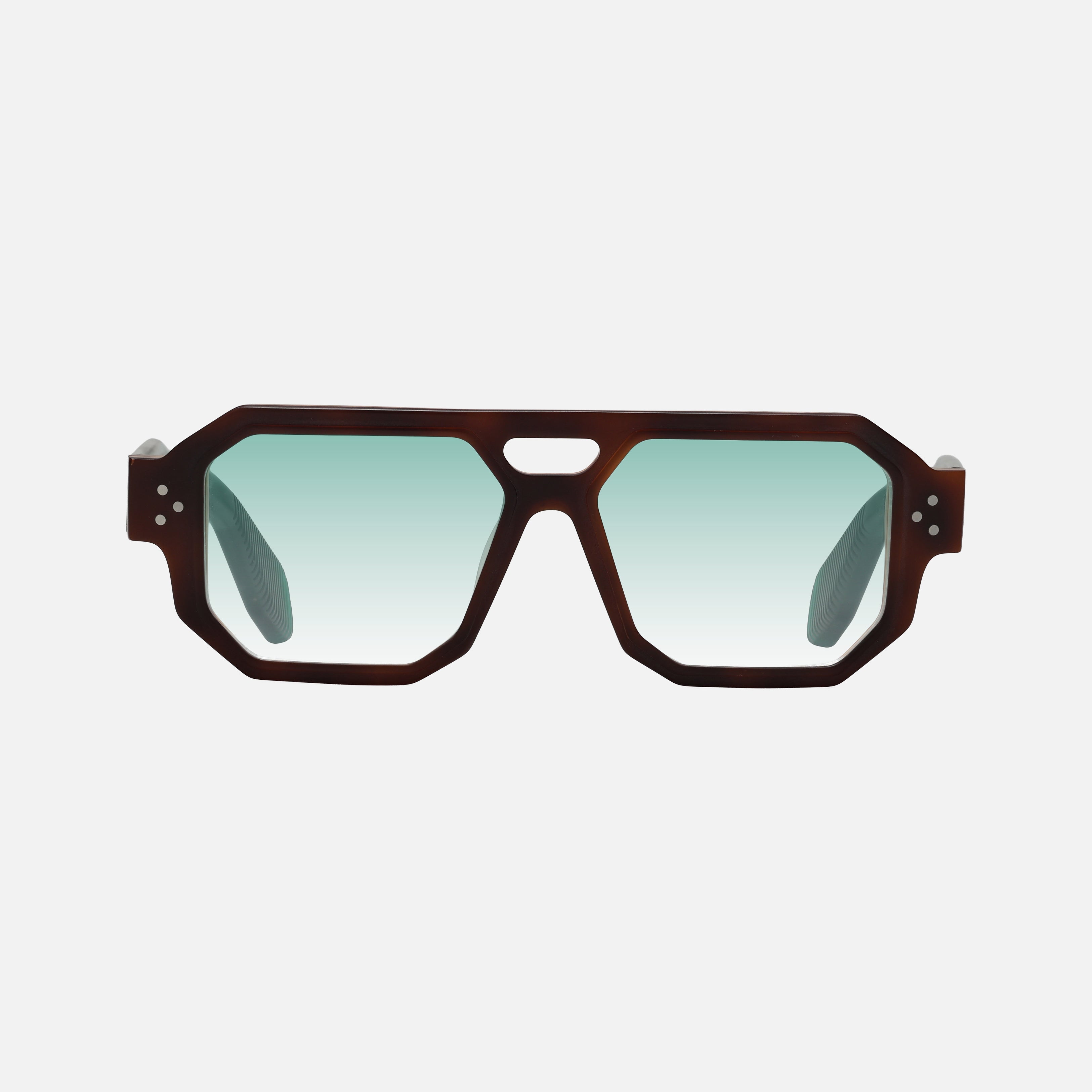 Rebel Tortoise Carnival