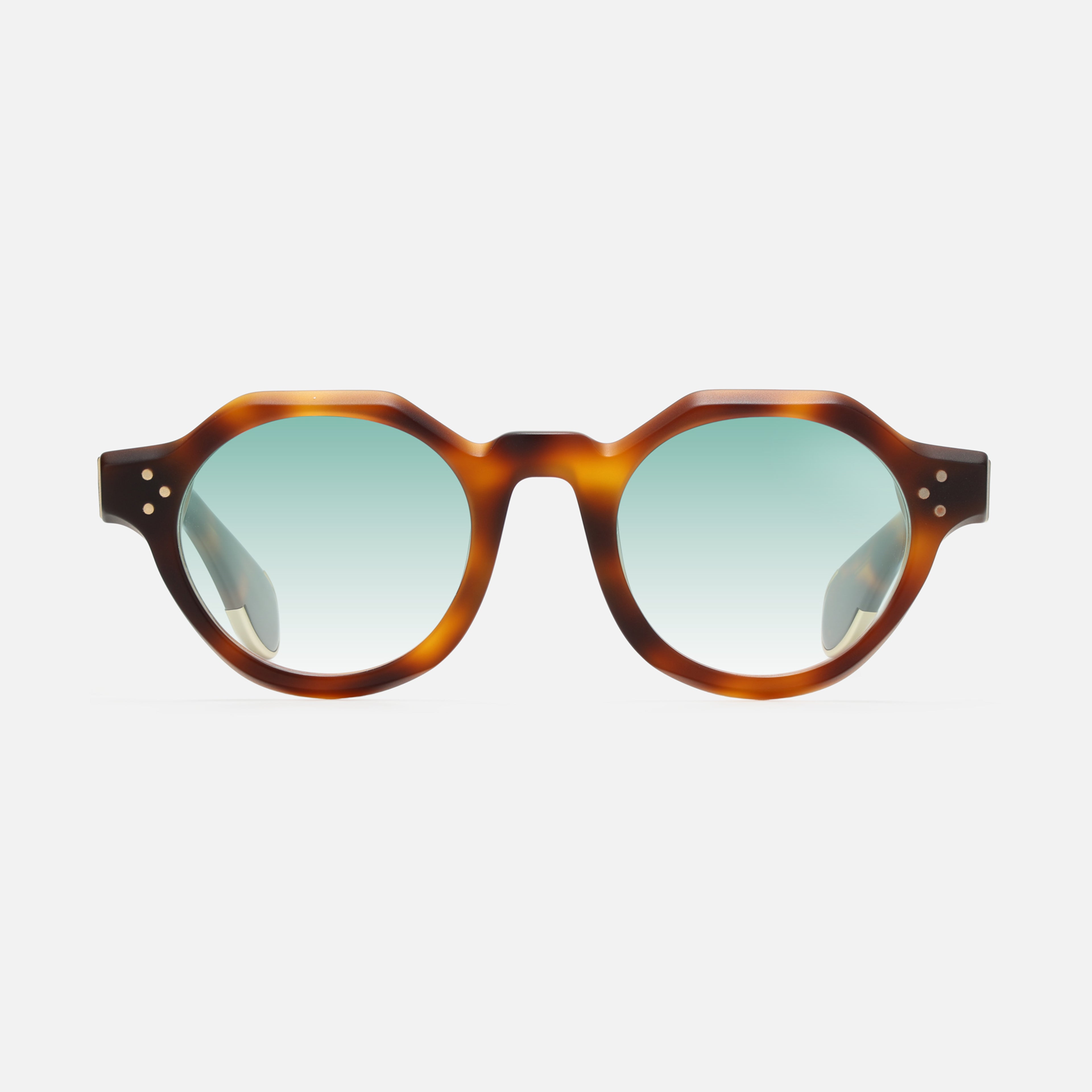 Paradise Tortoise Structura