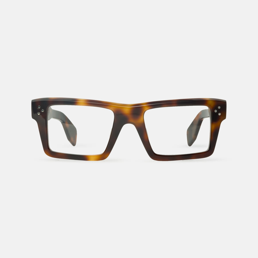 Koln Tortoise